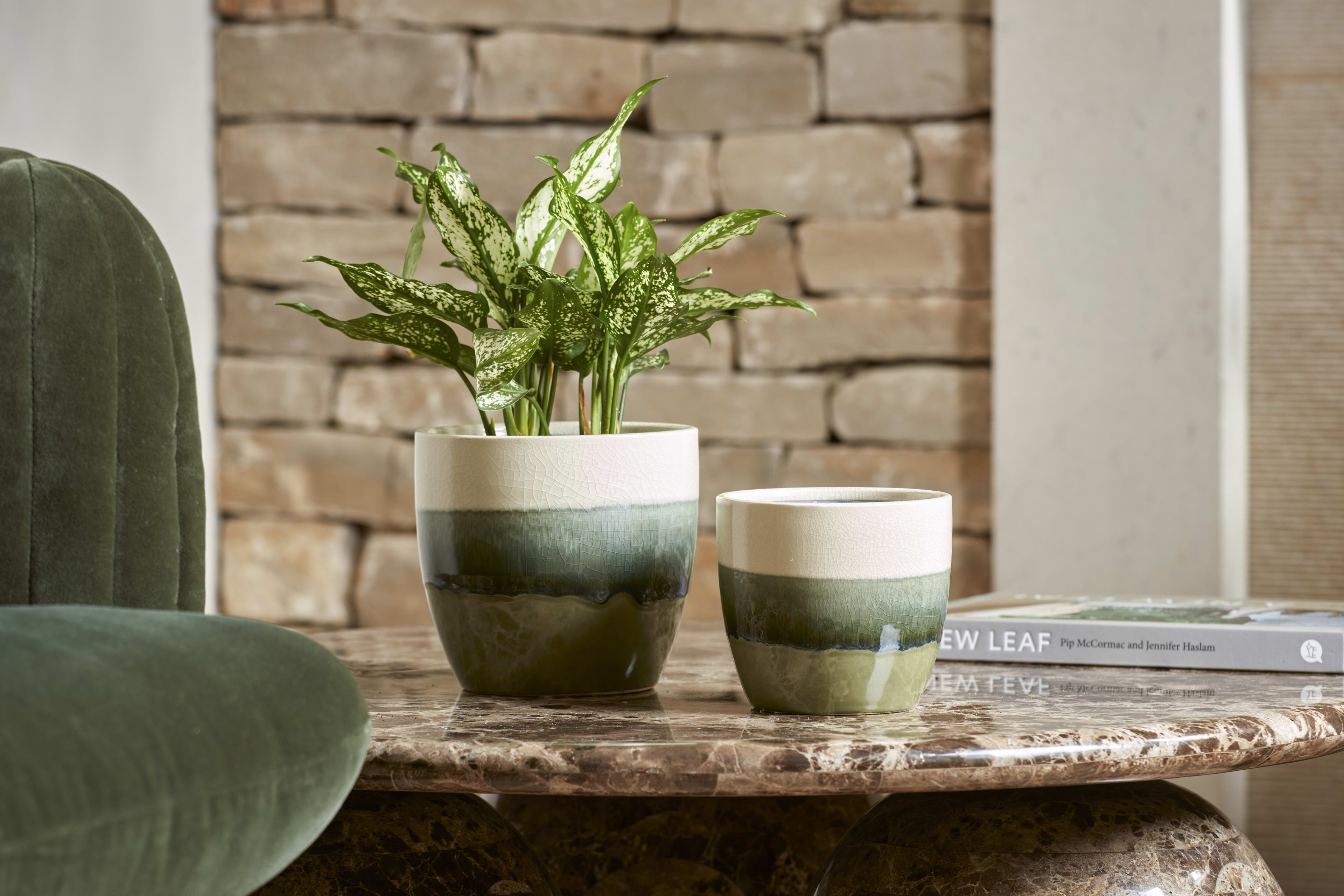 [object Object] image 2