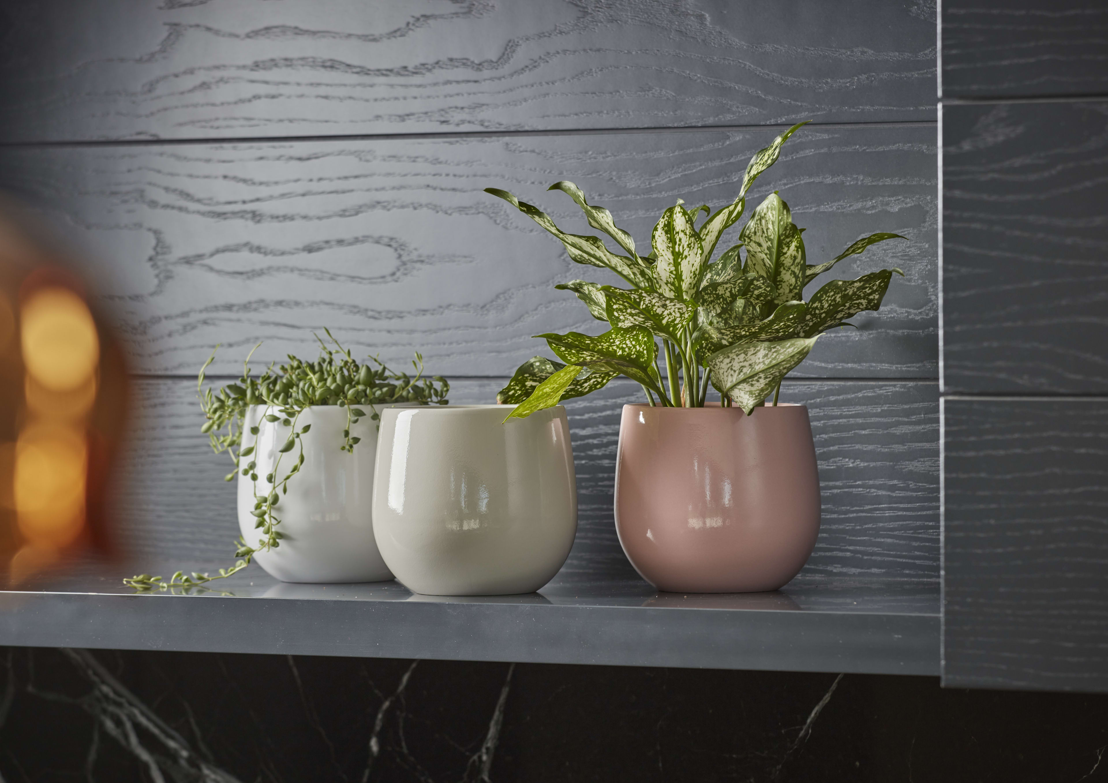 [object Object] image 2