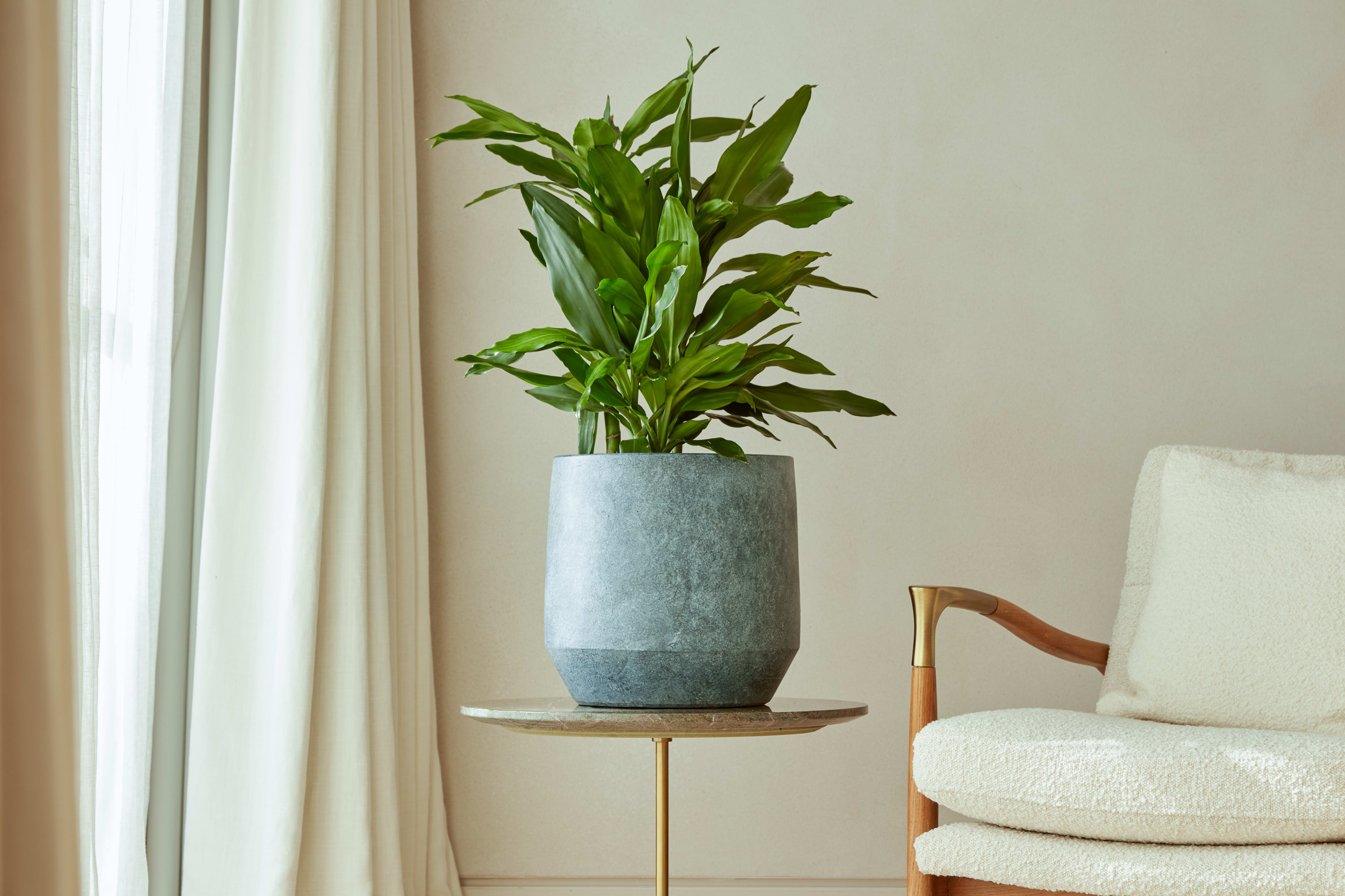 [object Object] image 3