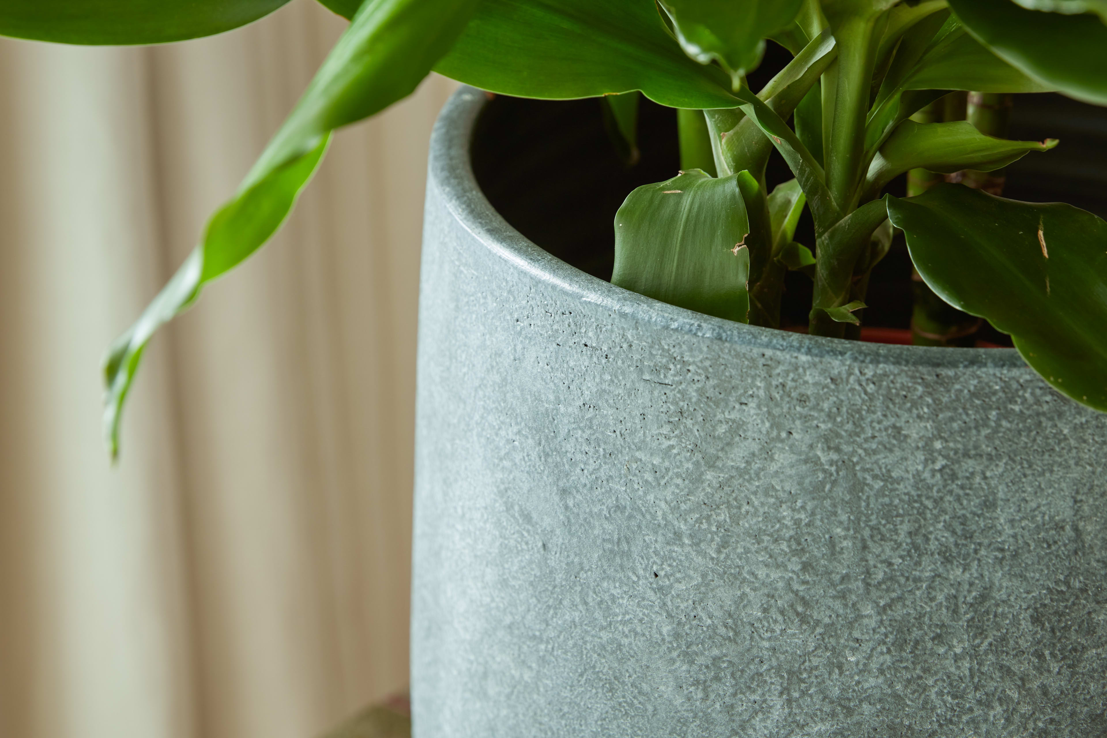 [object Object] image 4