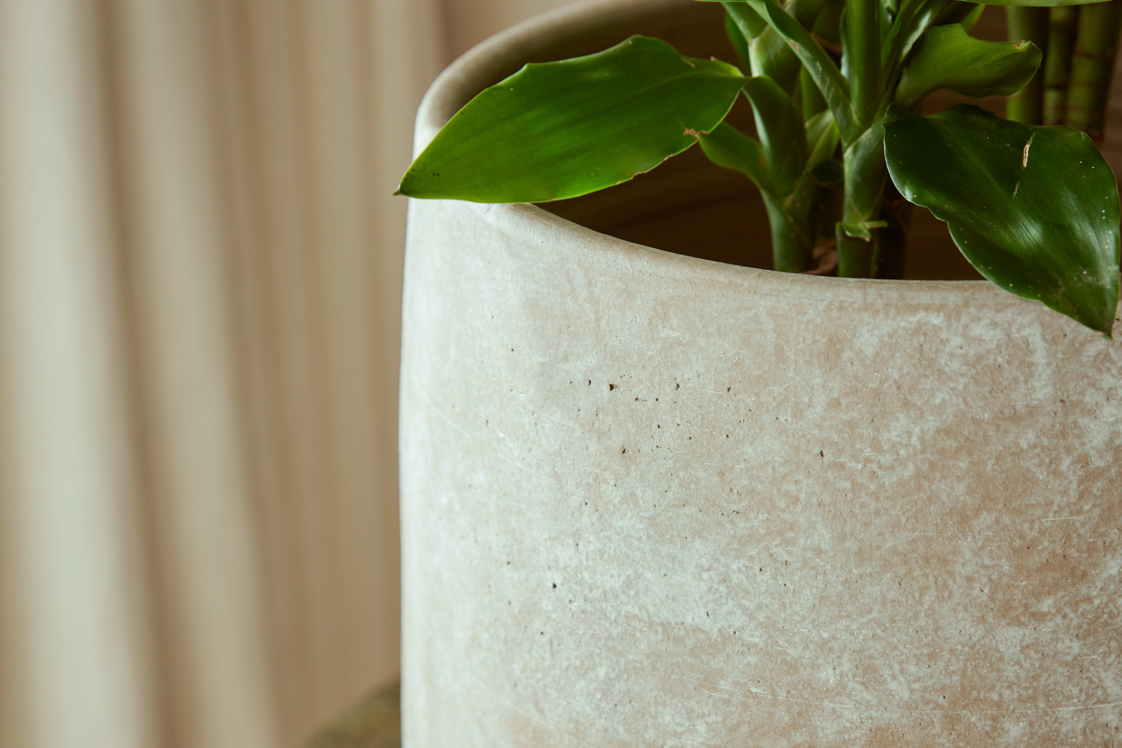 [object Object] image 3