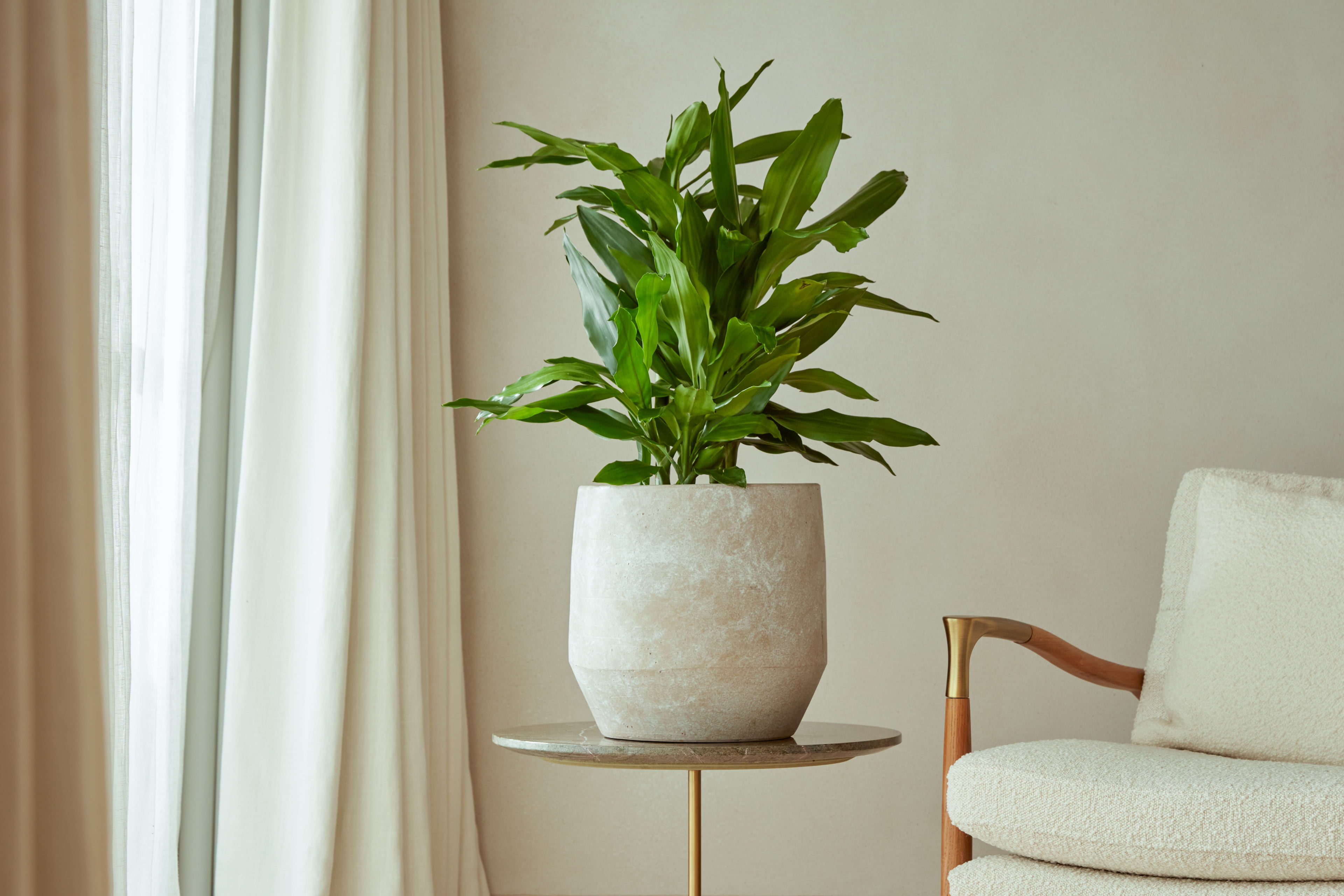 [object Object] image 2