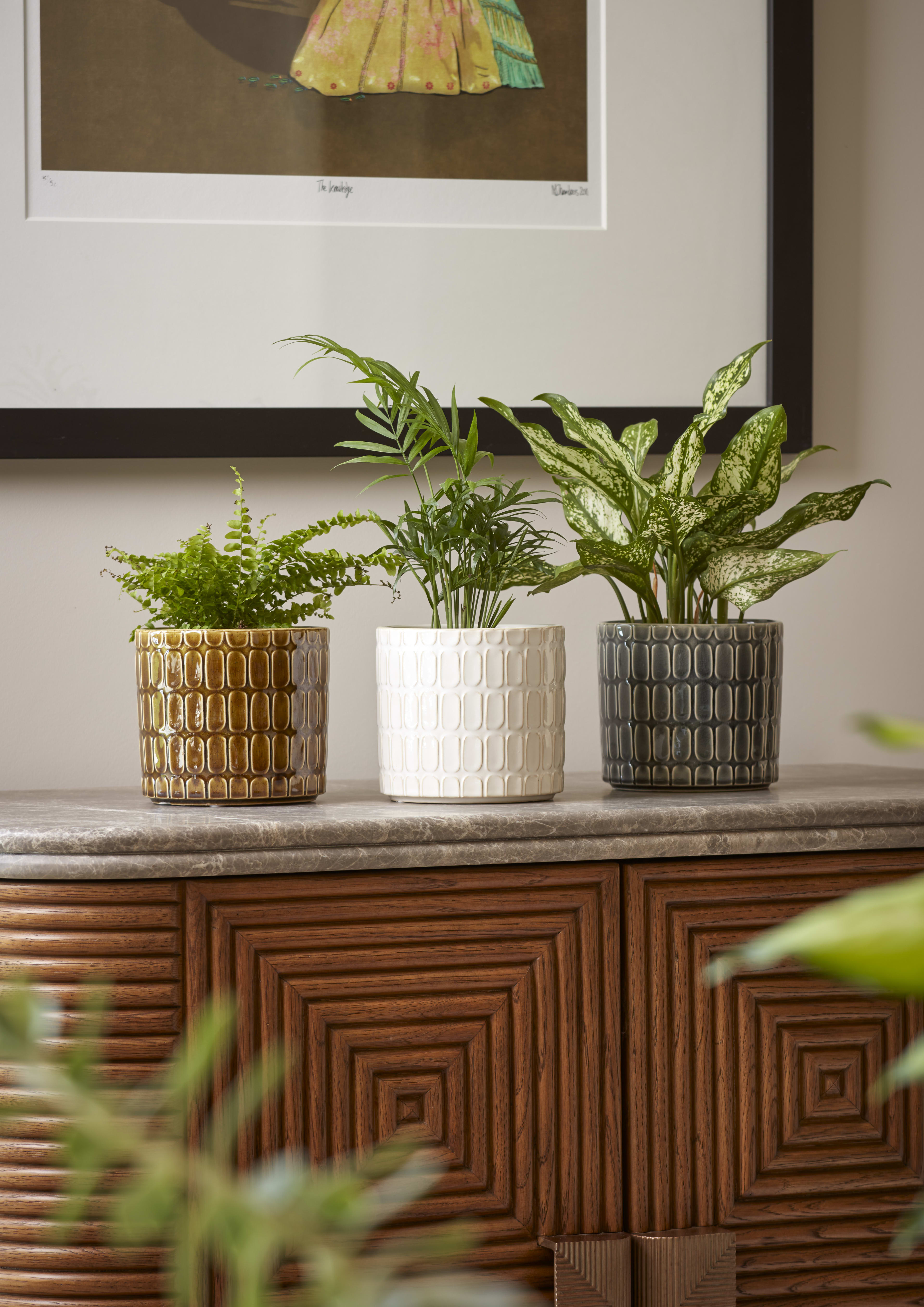 Deco Pot Brown 14cm lifestyle