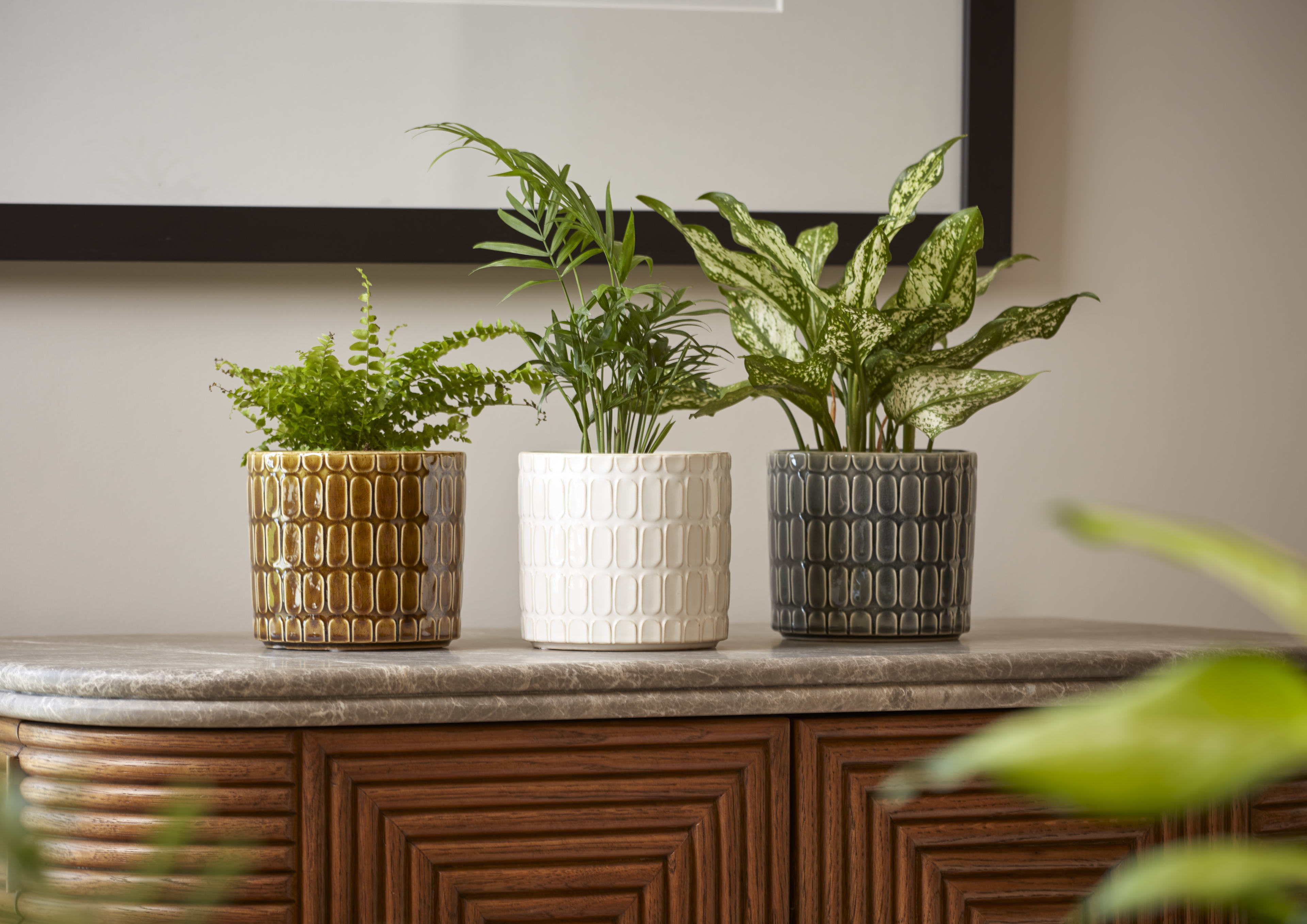 [object Object] image 2