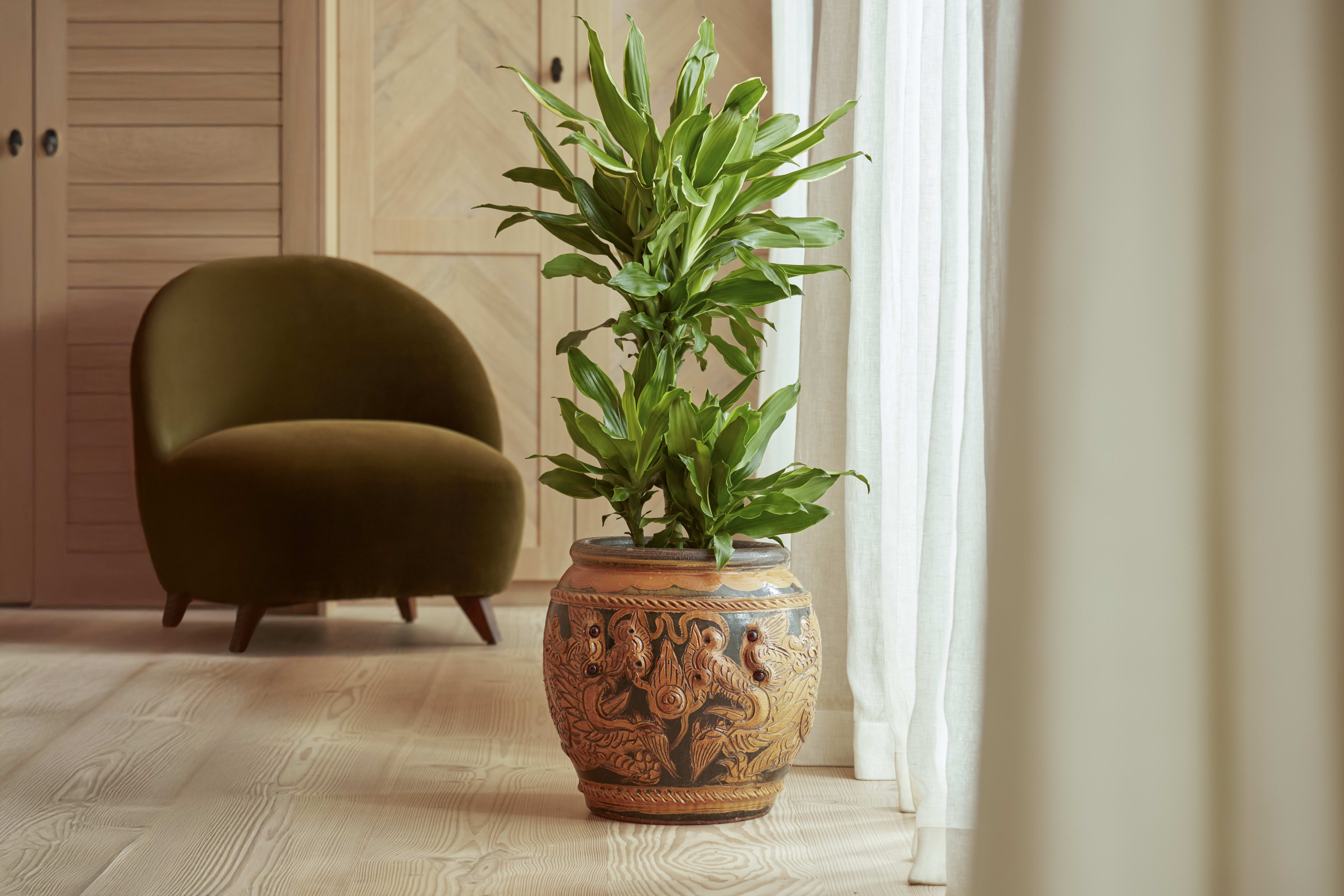 [object Object] image 2