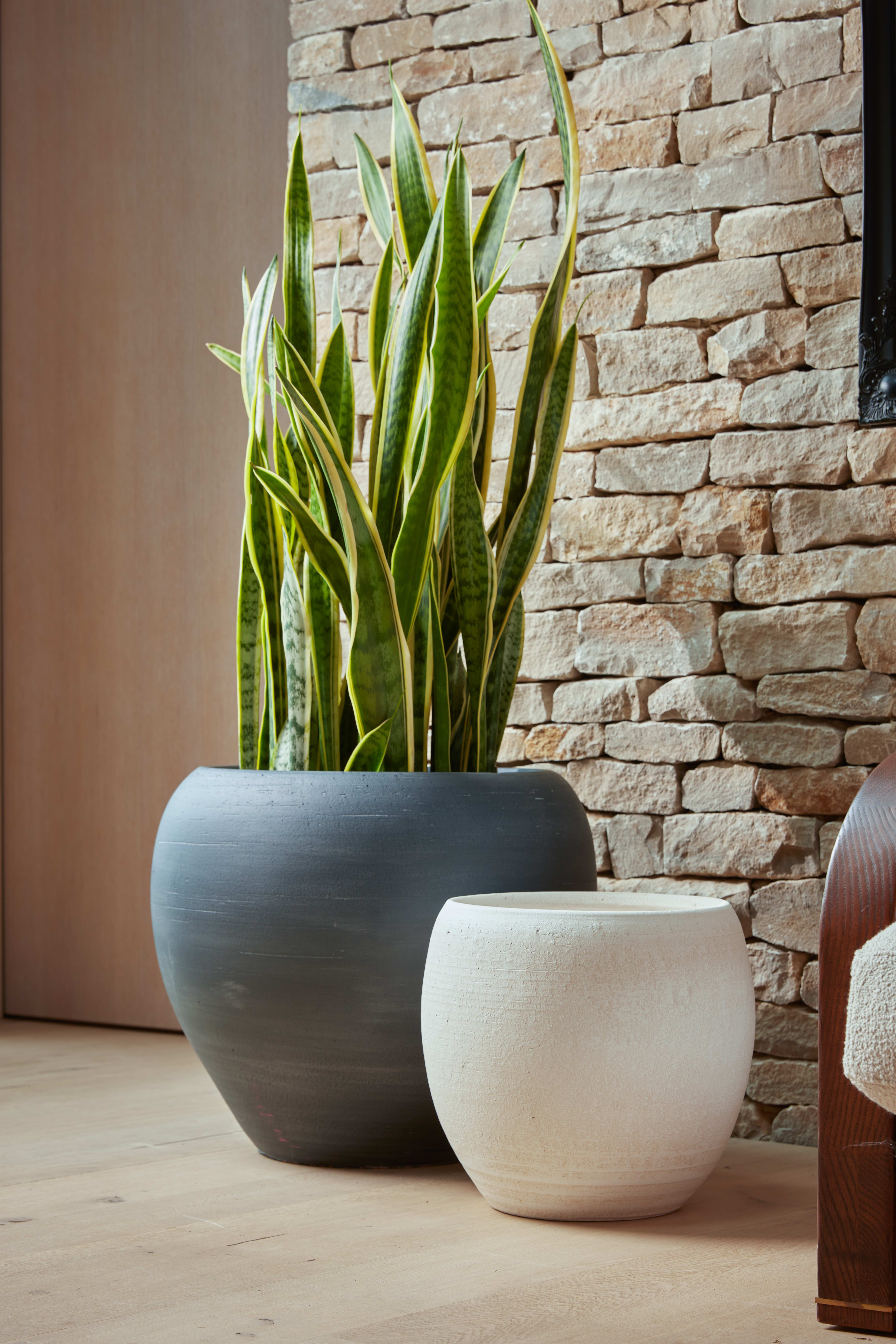 [object Object] image 2