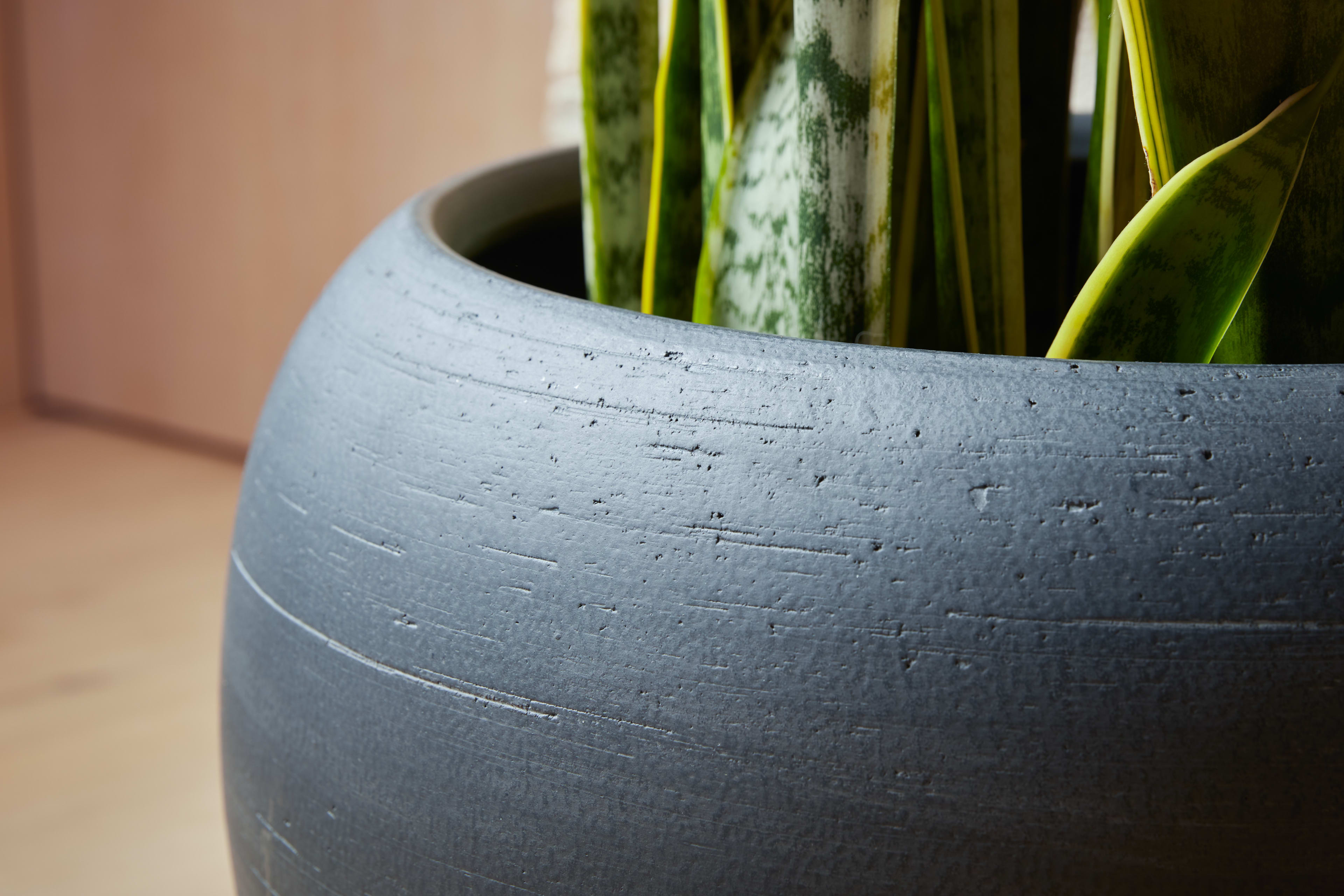 [object Object] image 5