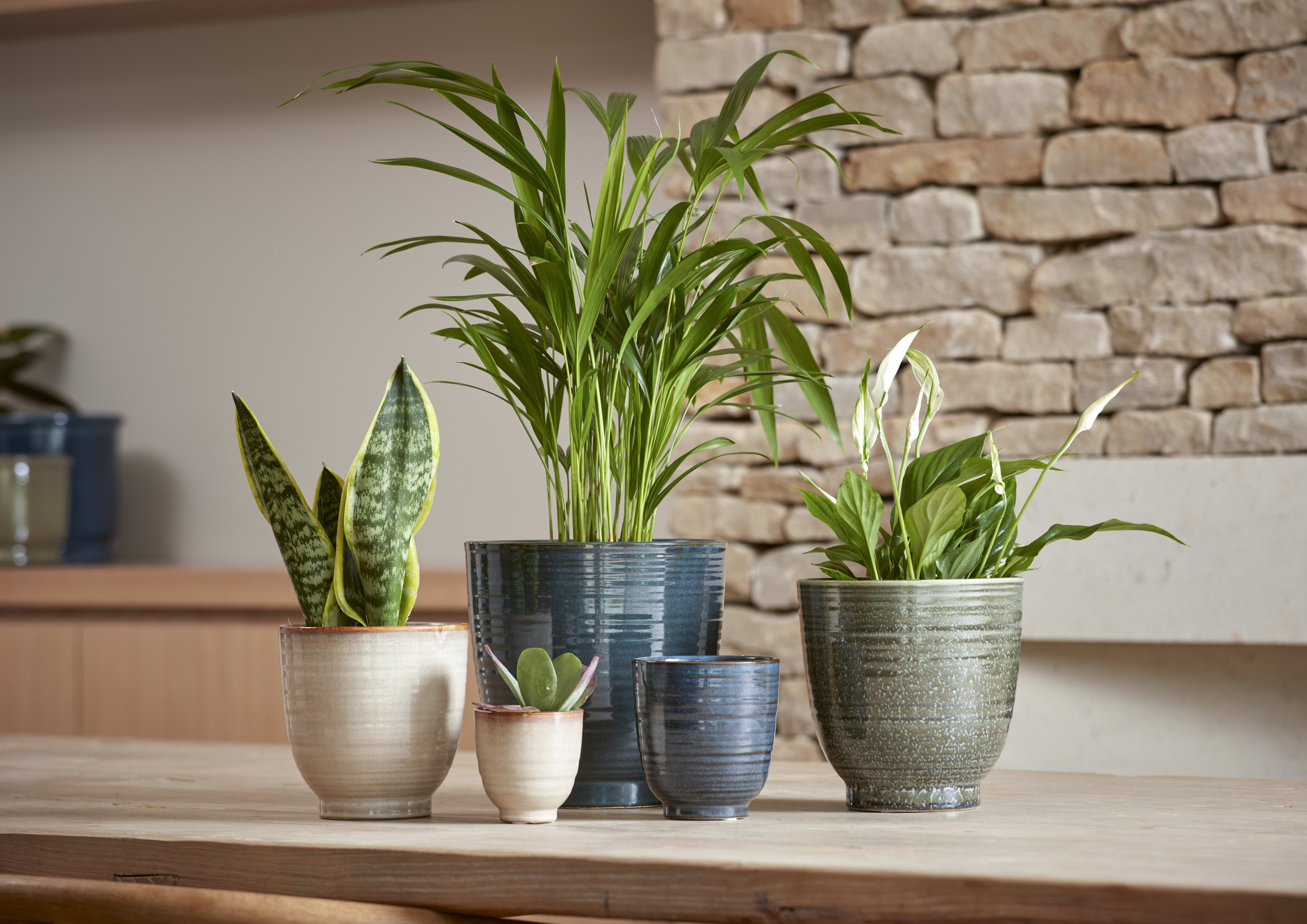 [object Object] image 2