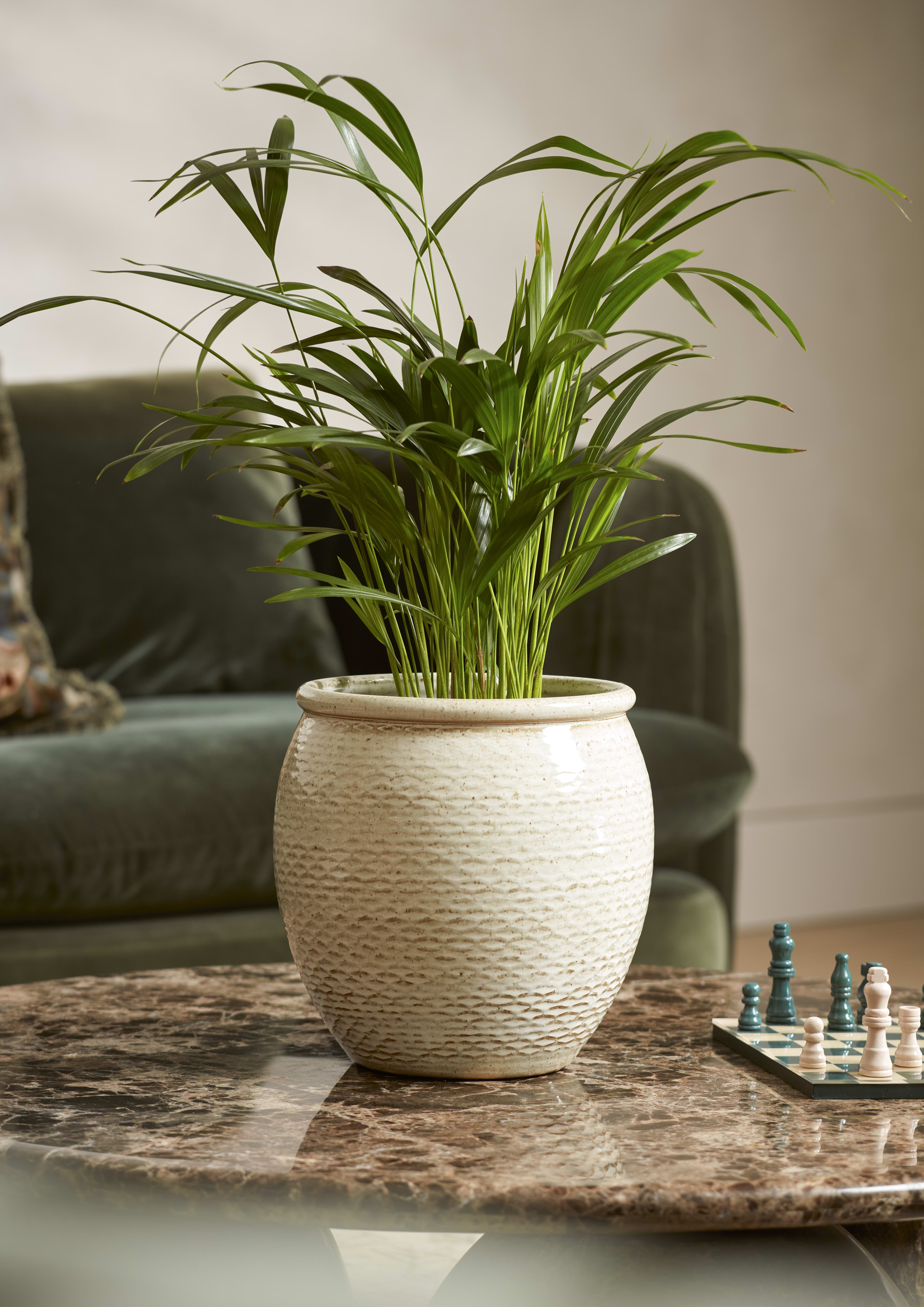 Freya Pot Cream 20cm lifestyle