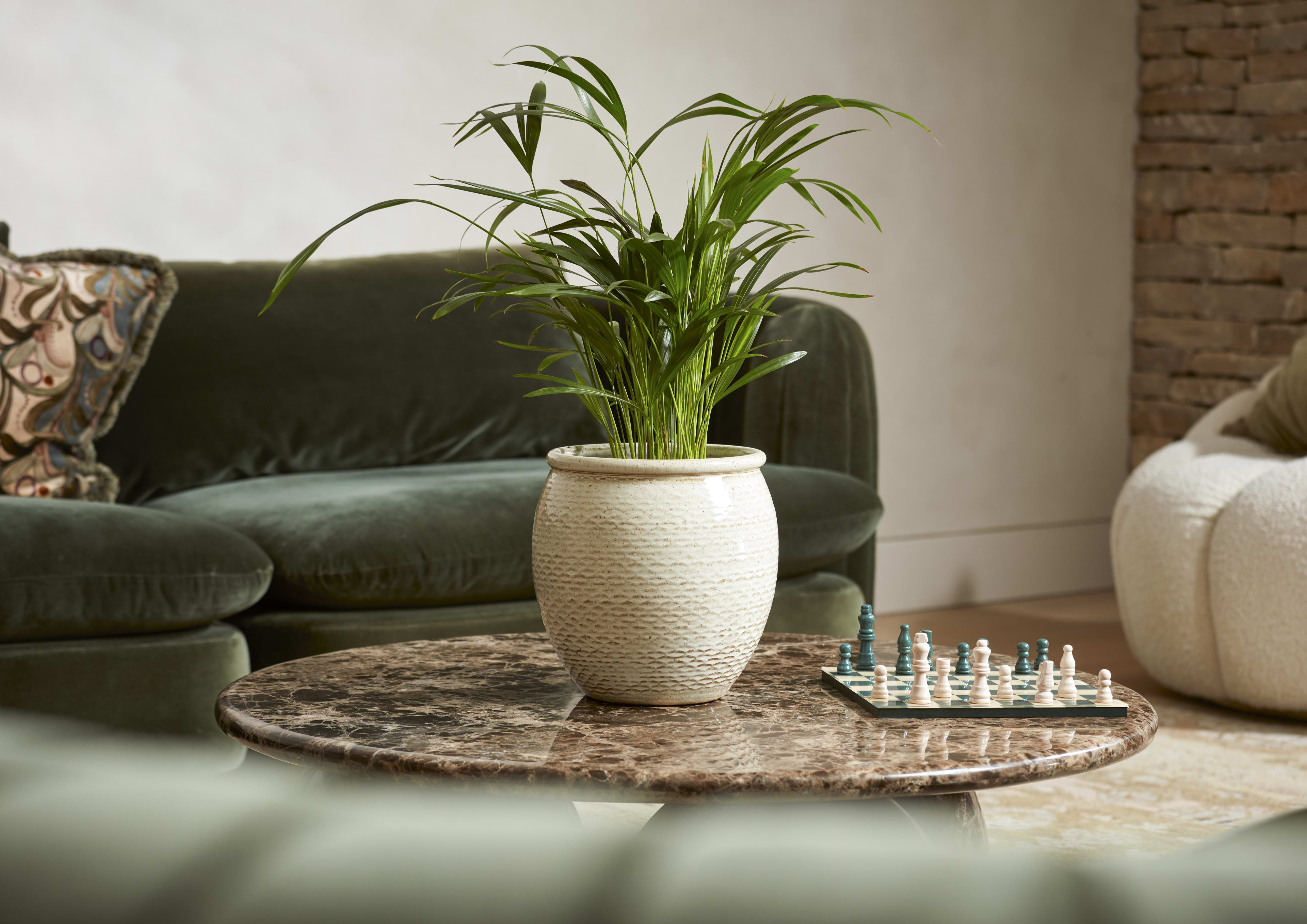 [object Object] image 2