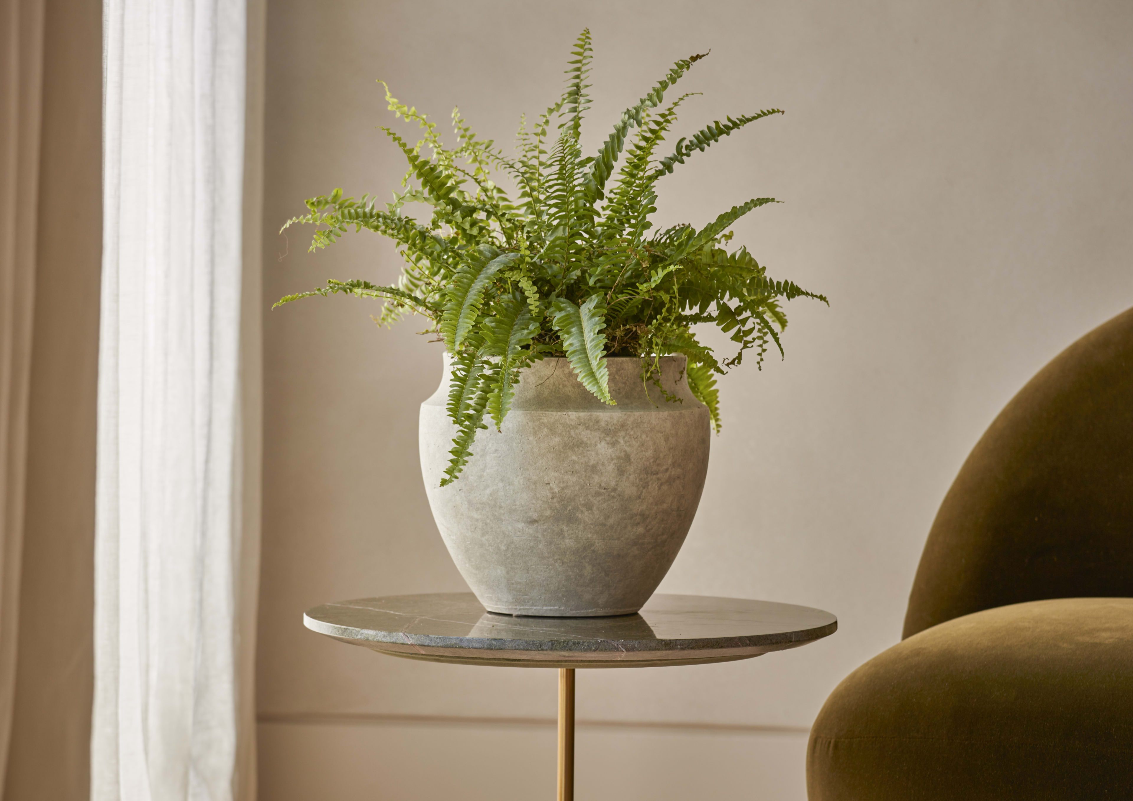 [object Object] image 2