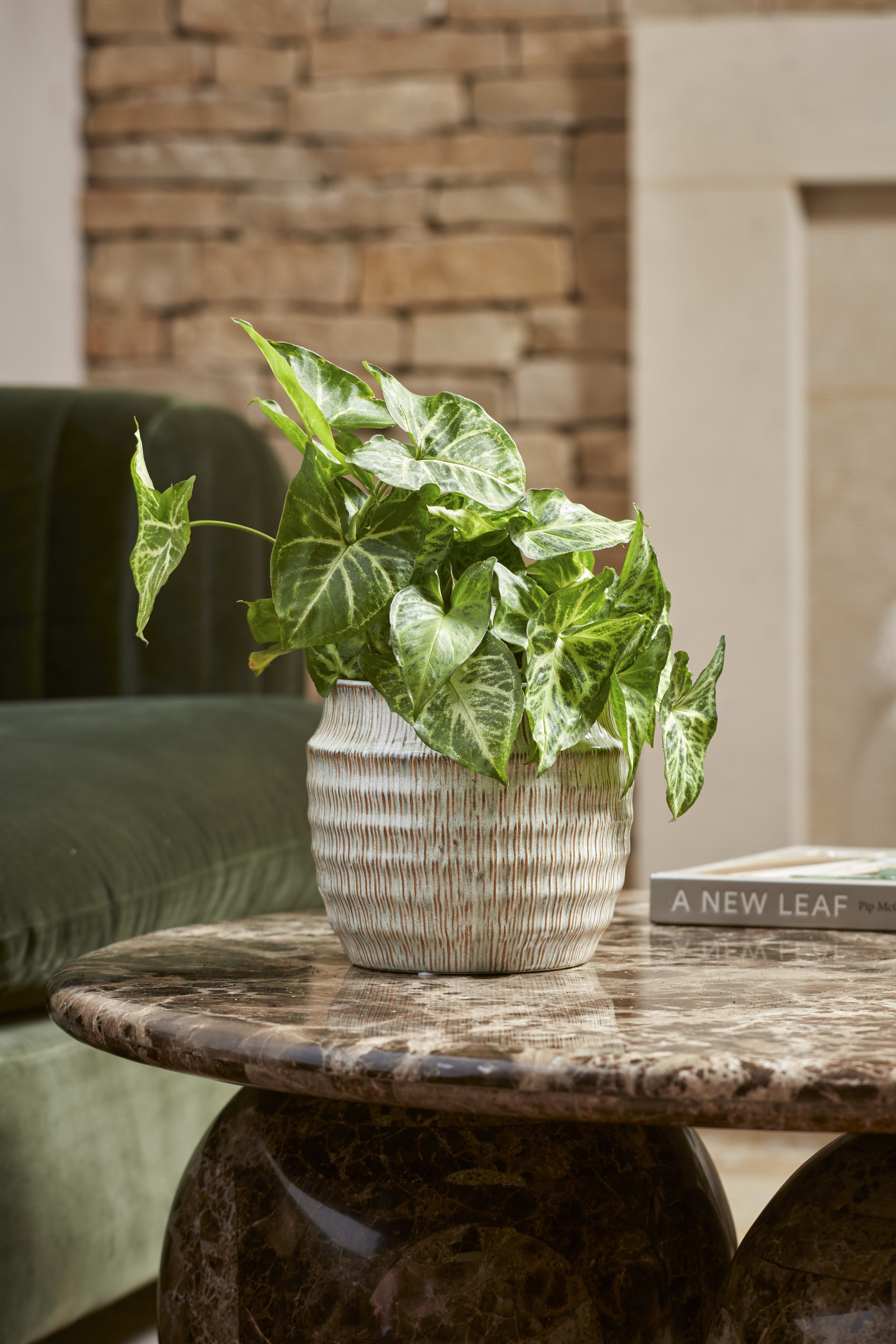 Ines Pot Grey 14cm lifestyle