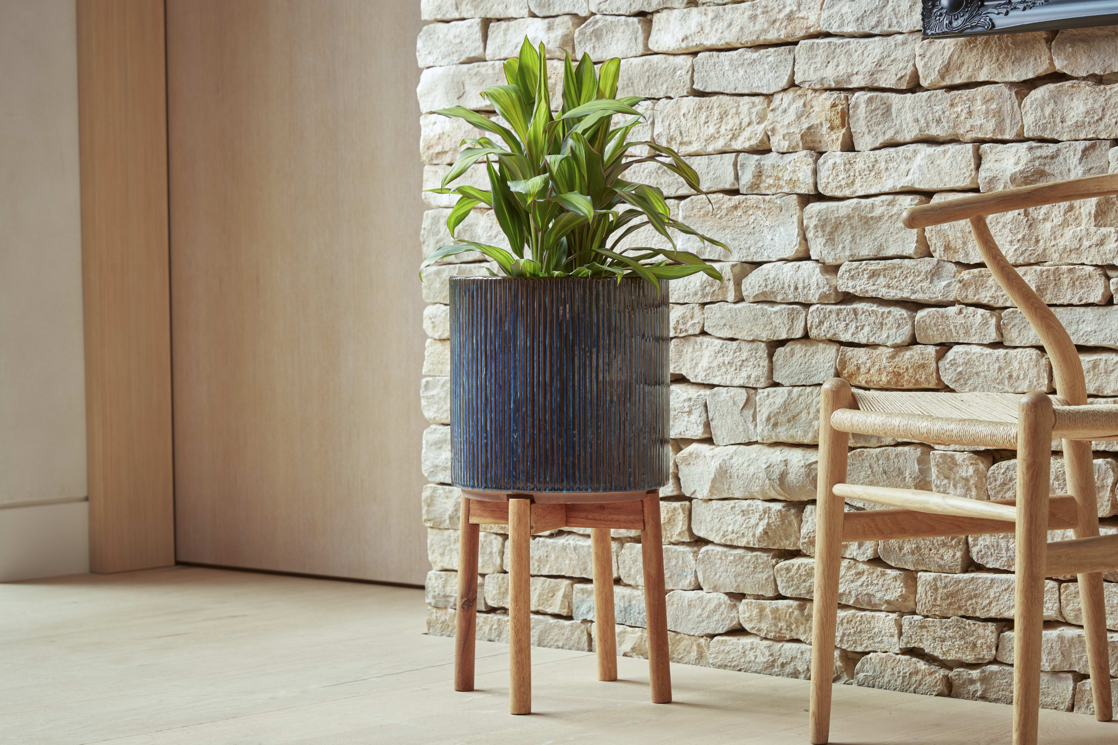 [object Object] image 3