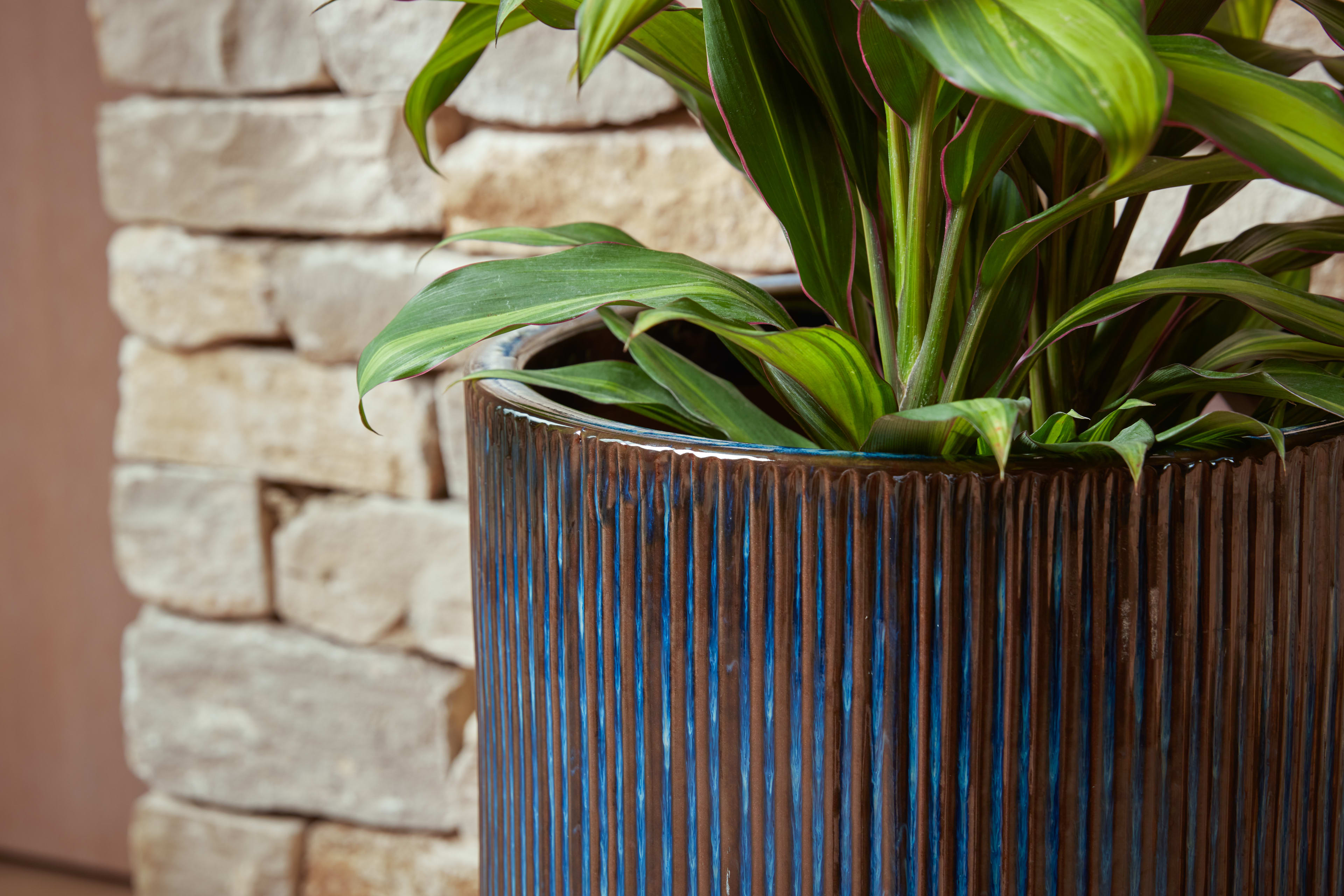 [object Object] image 4