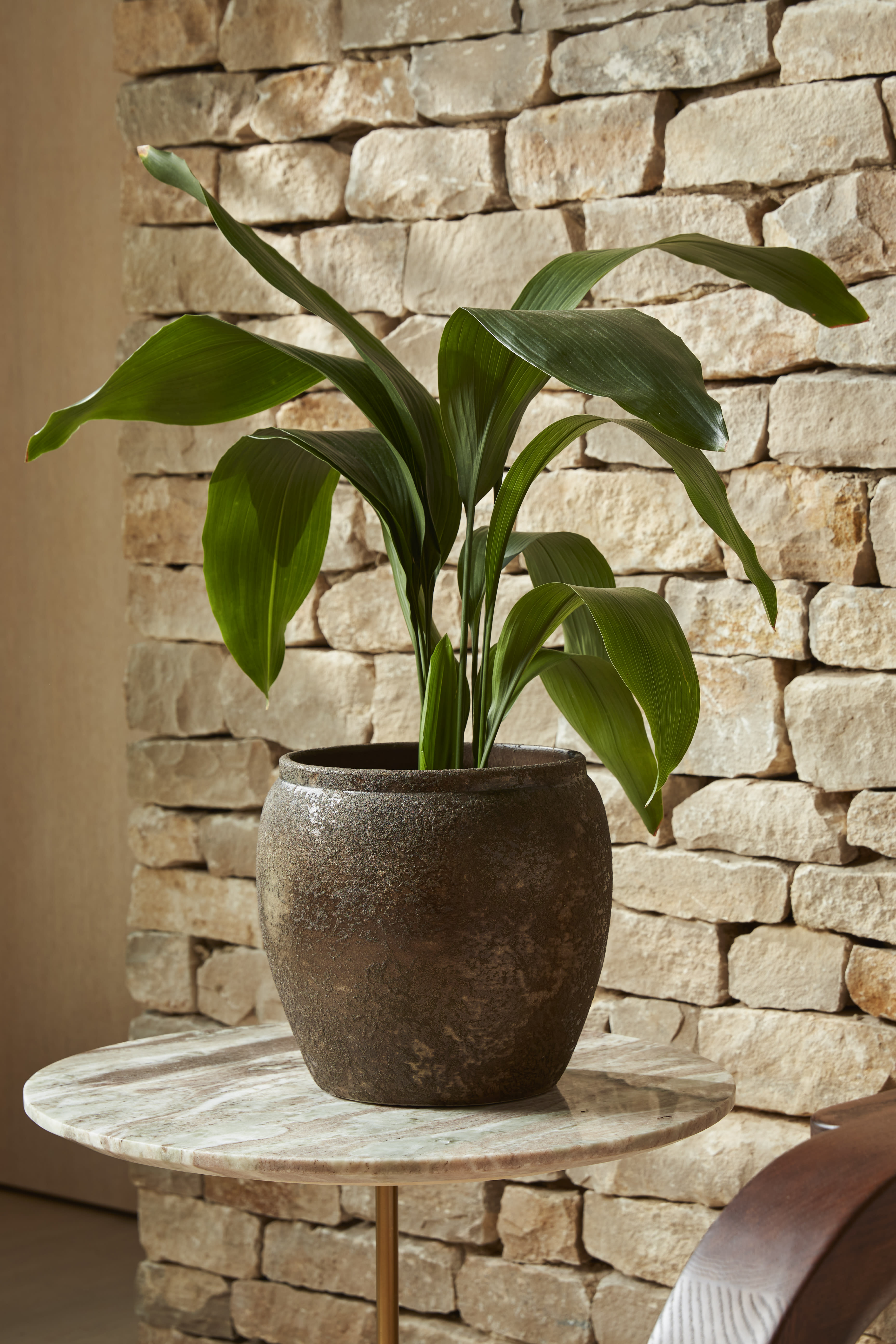 Marco Pot Bronze 14cm lifestyle
