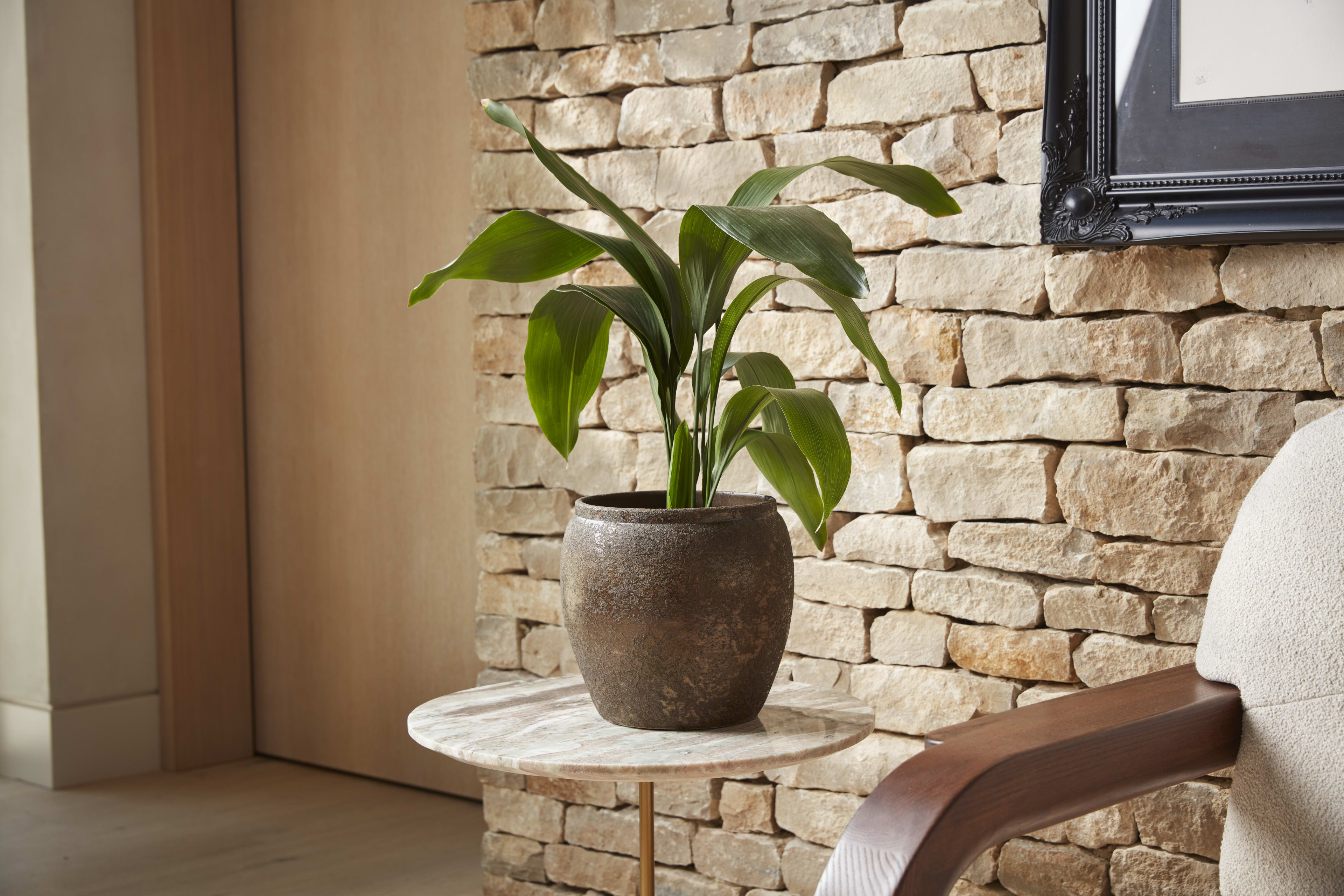 [object Object] image 2