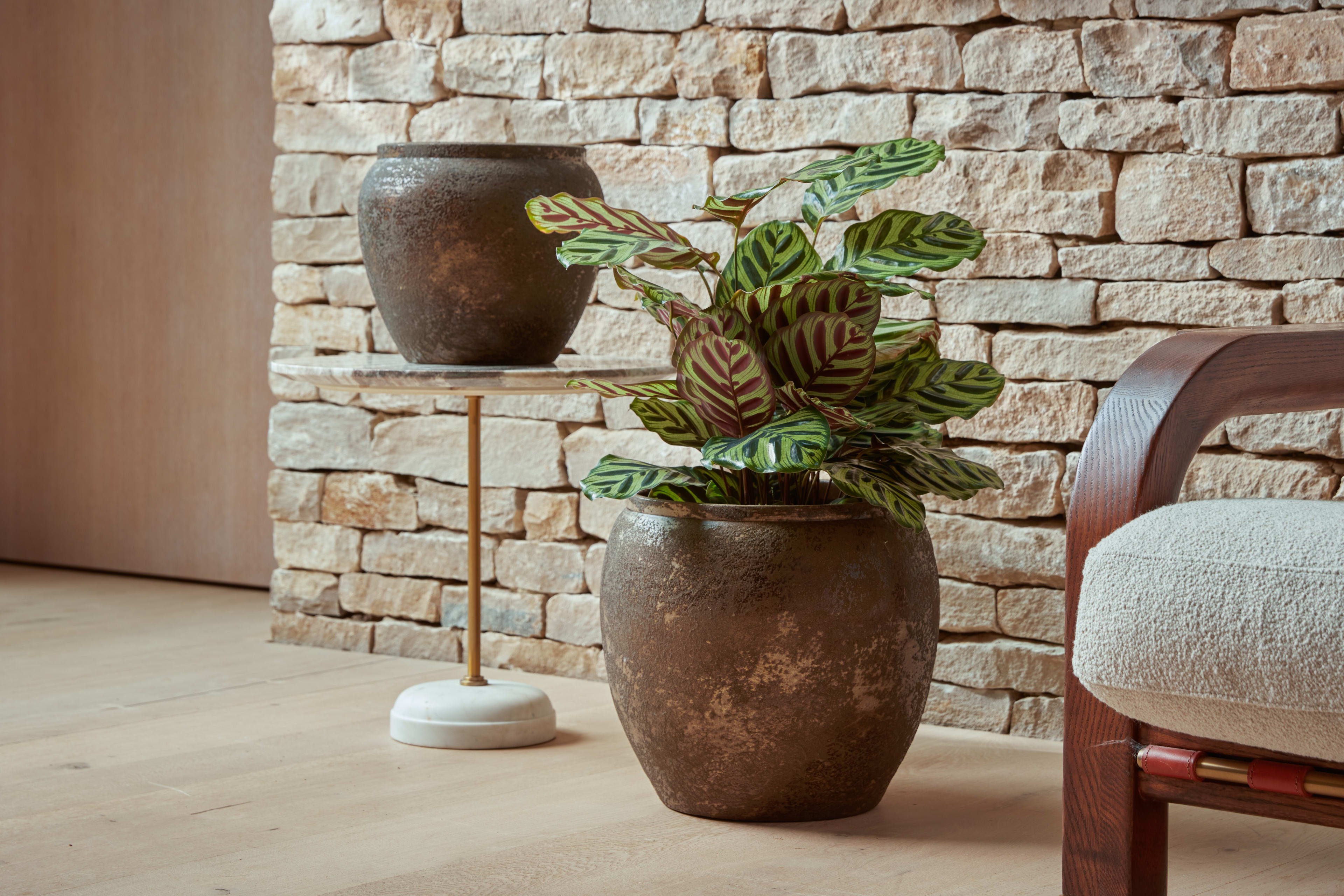 [object Object] image 3