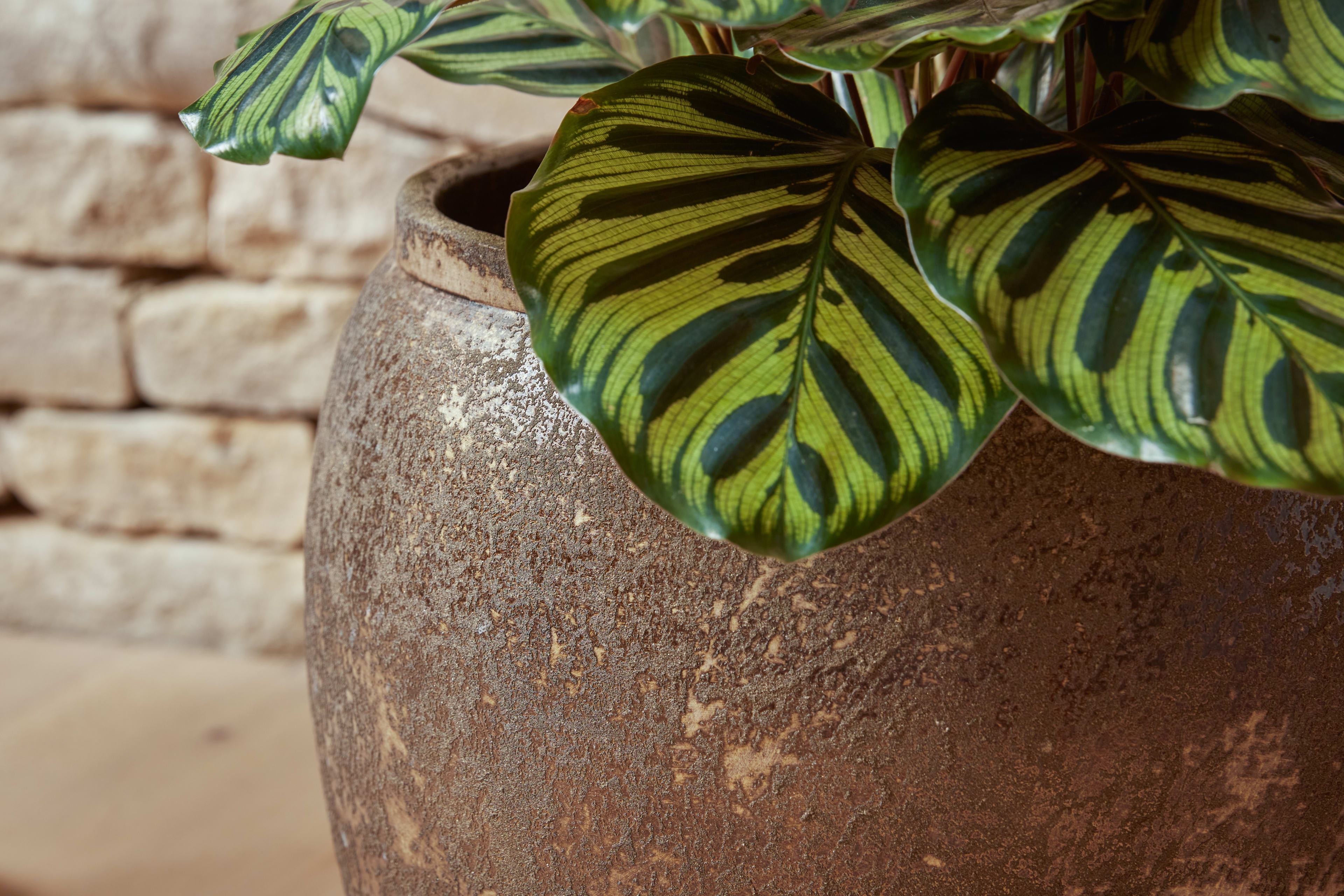 [object Object] image 4