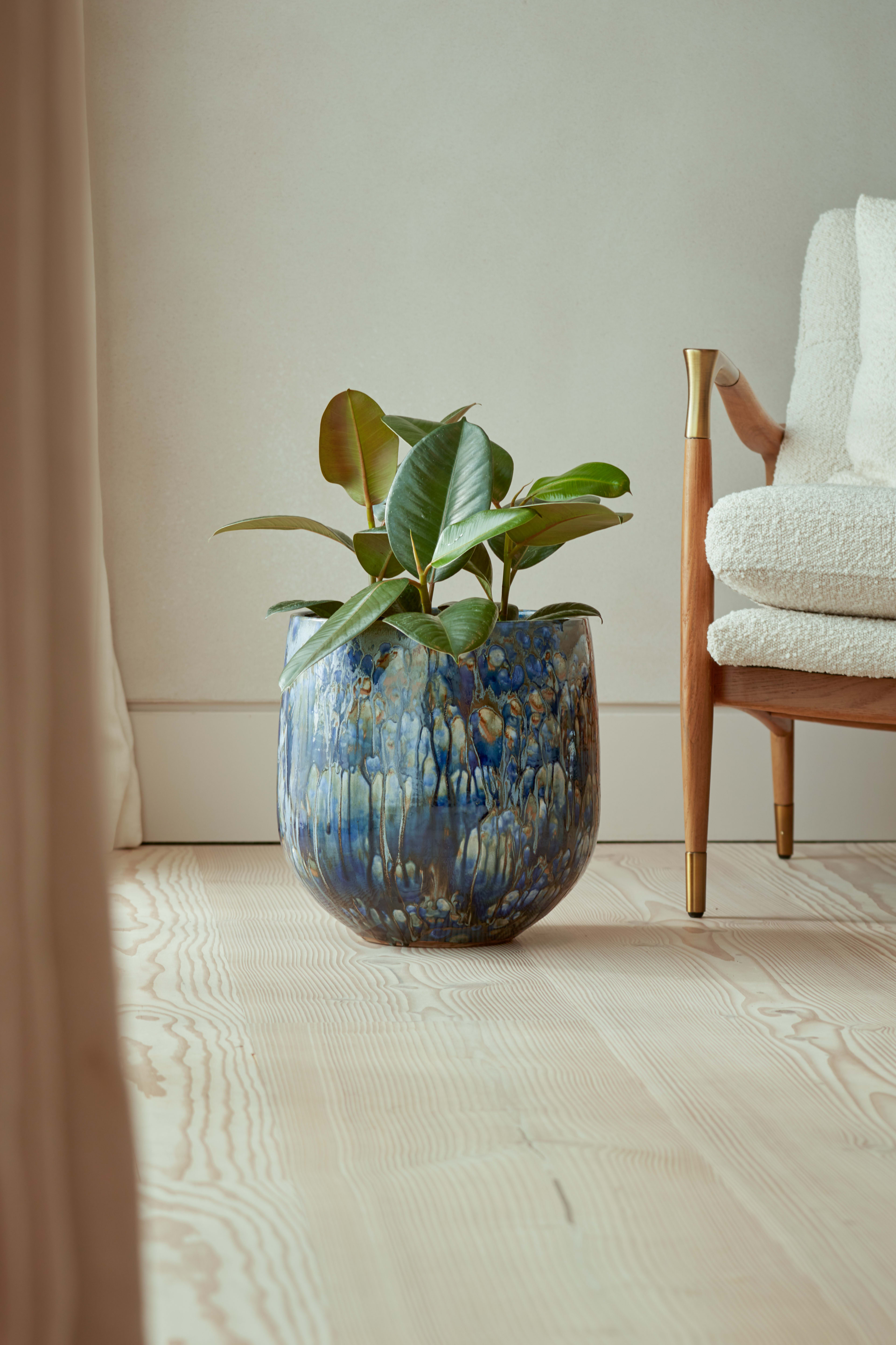 [object Object] image 3