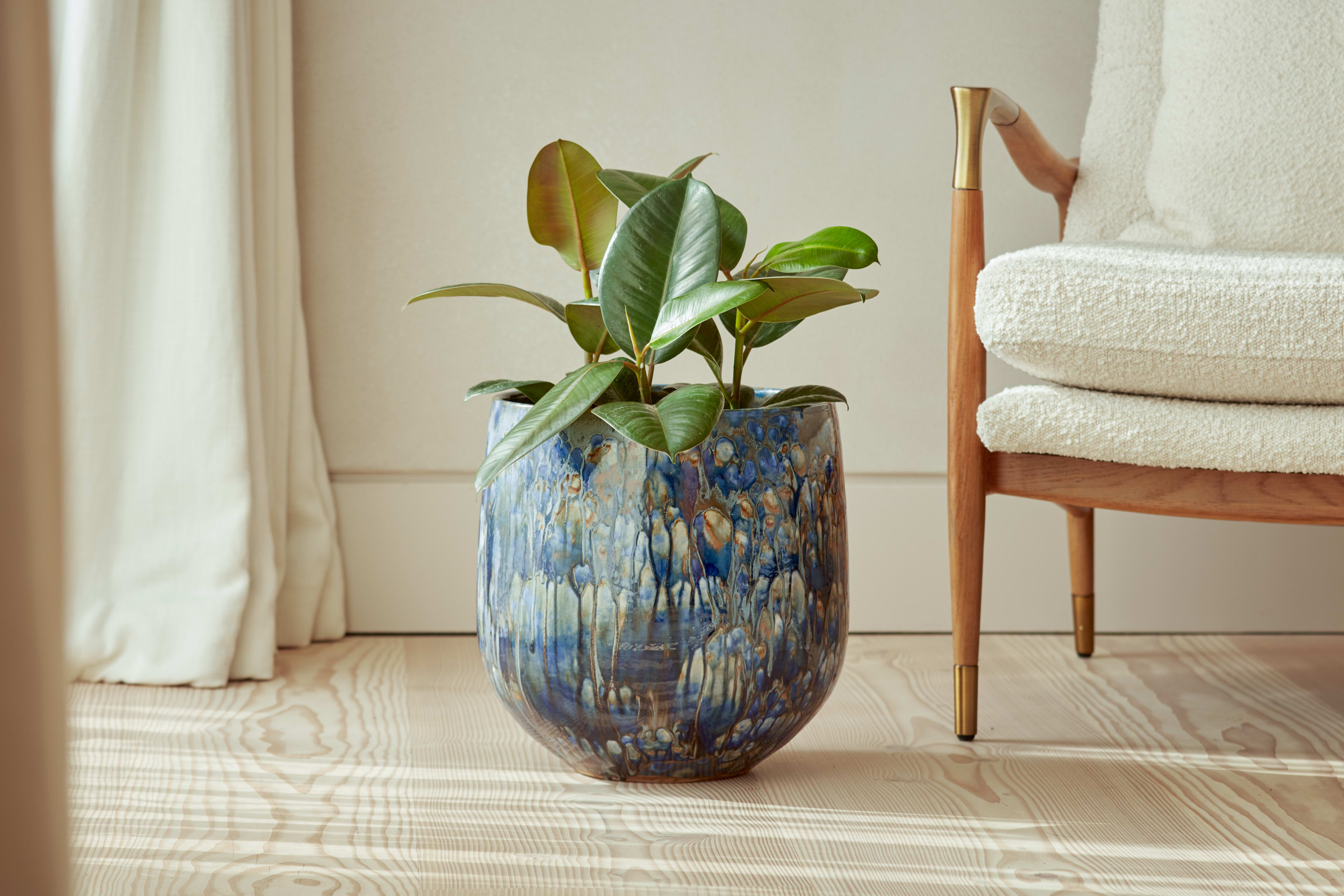 [object Object] image 4