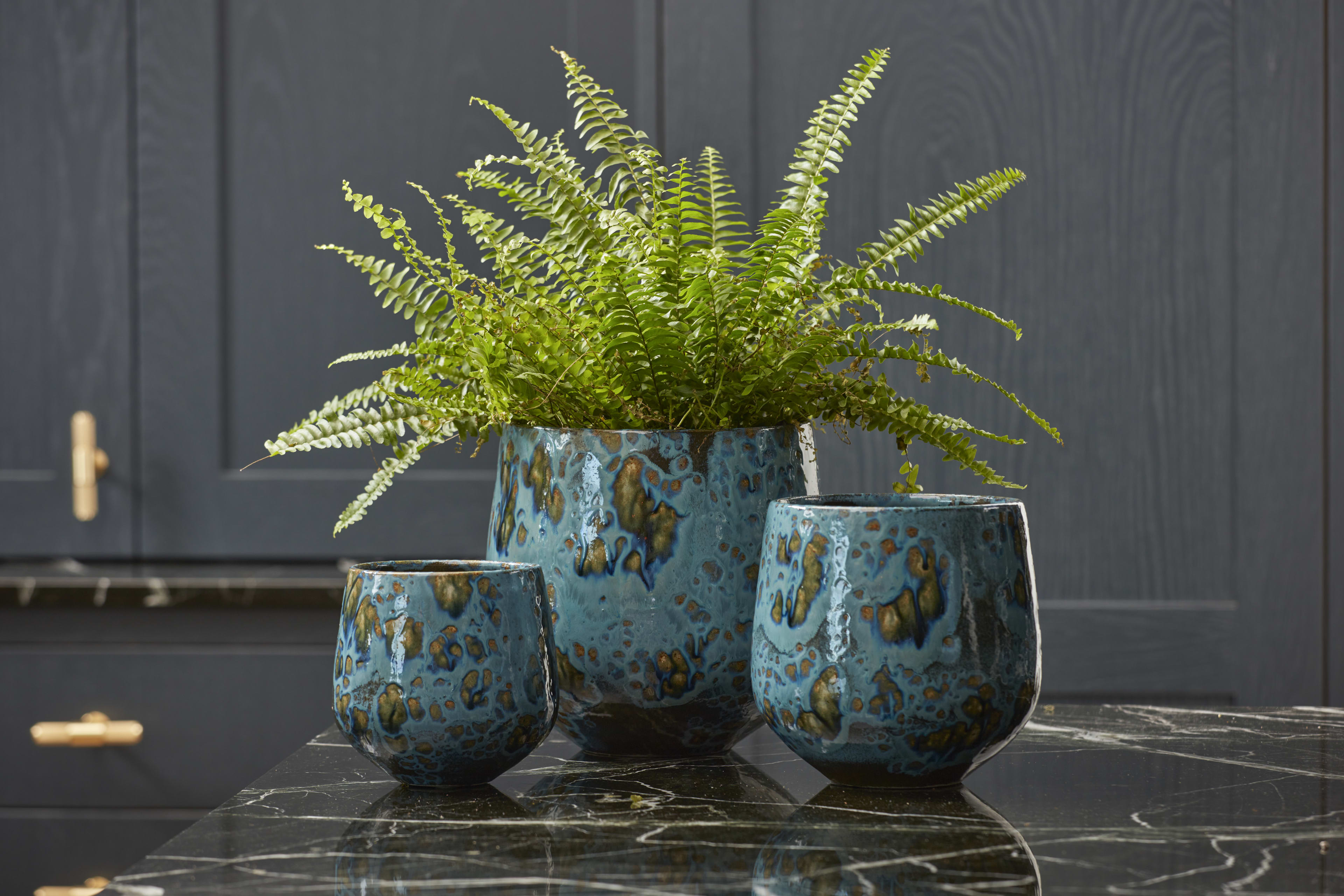 [object Object] image 2