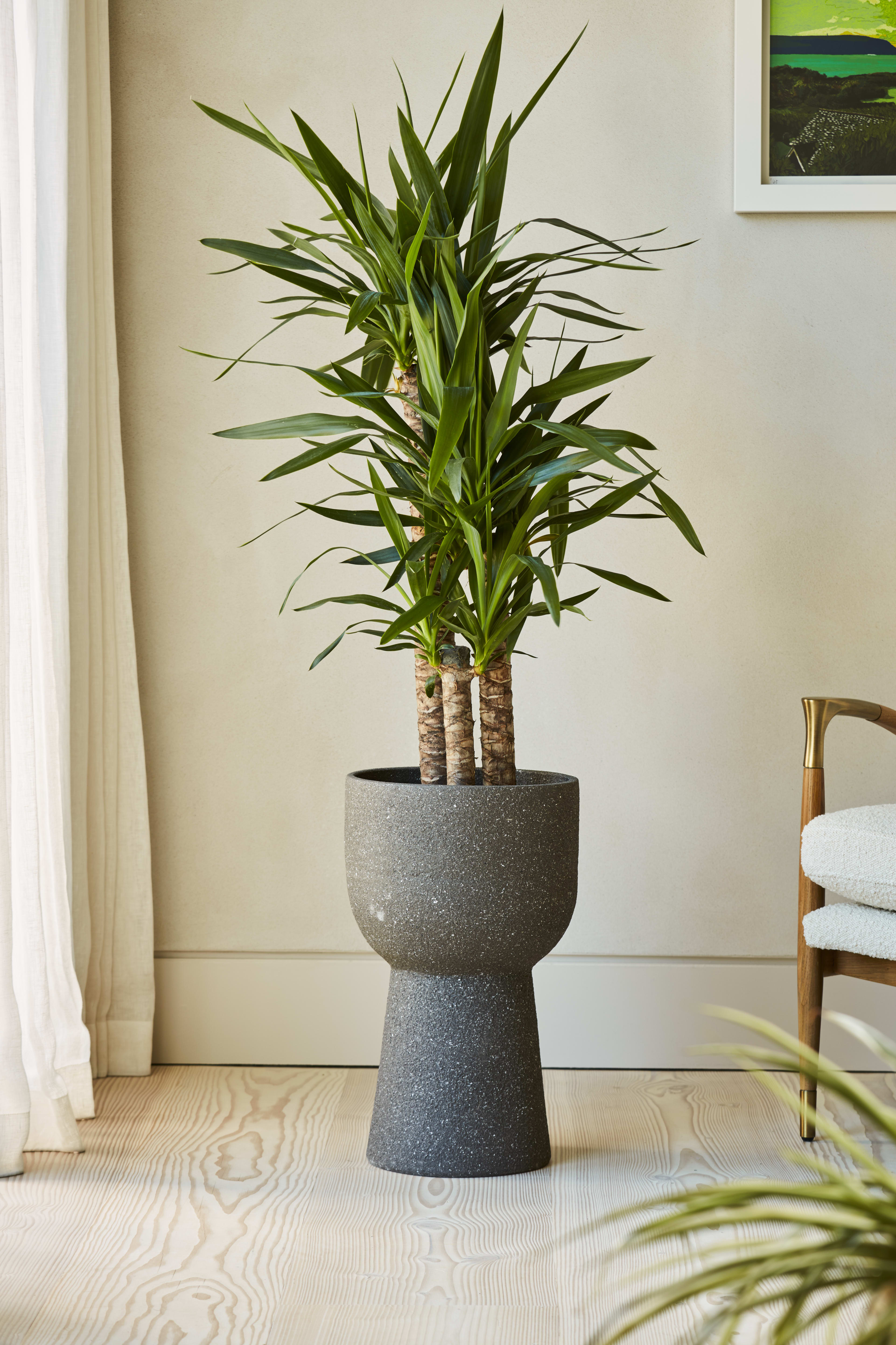 Nico Pot Dark Grey 30cm lifestyle