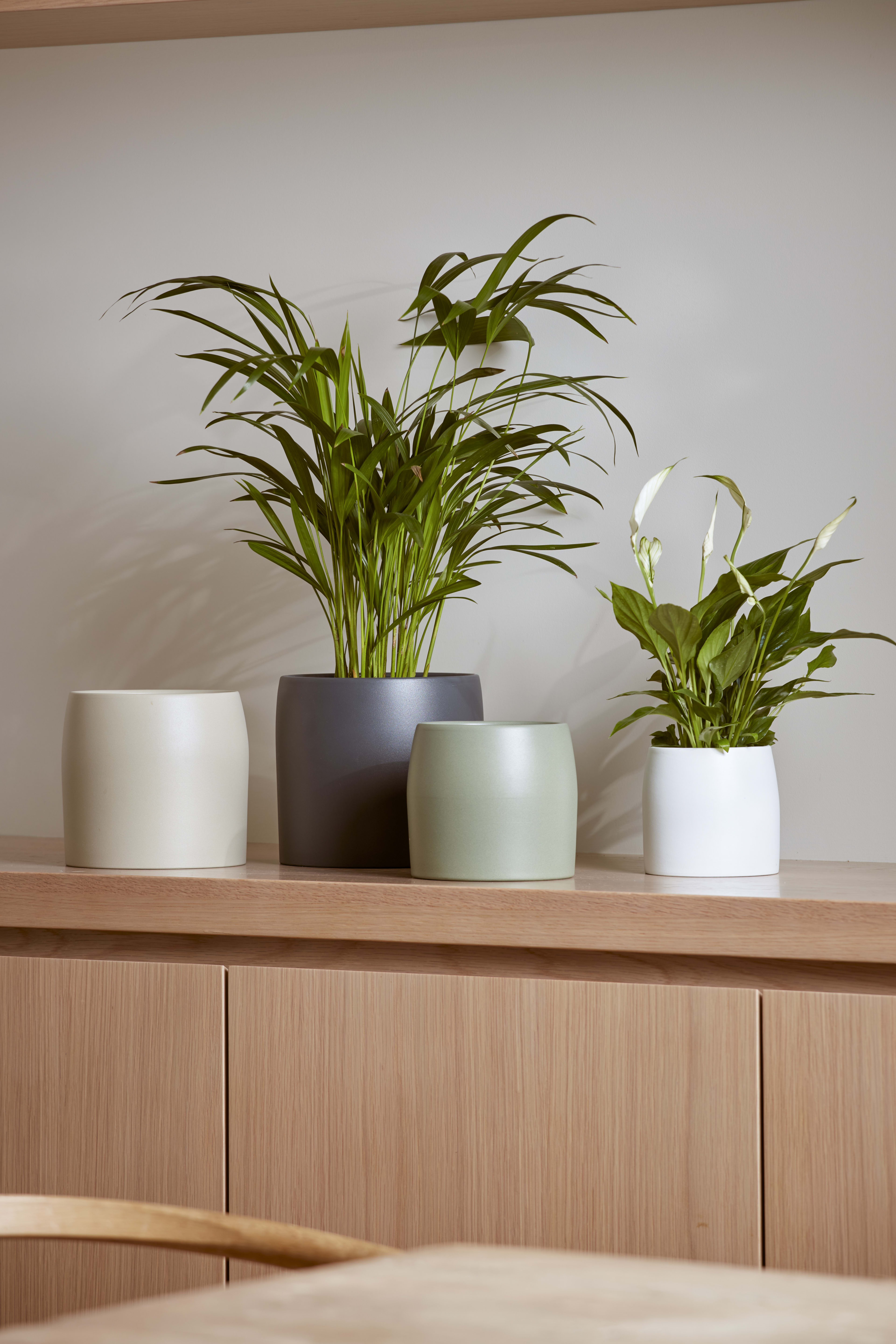 Pisa Pot Anthracite 10cm lifestyle