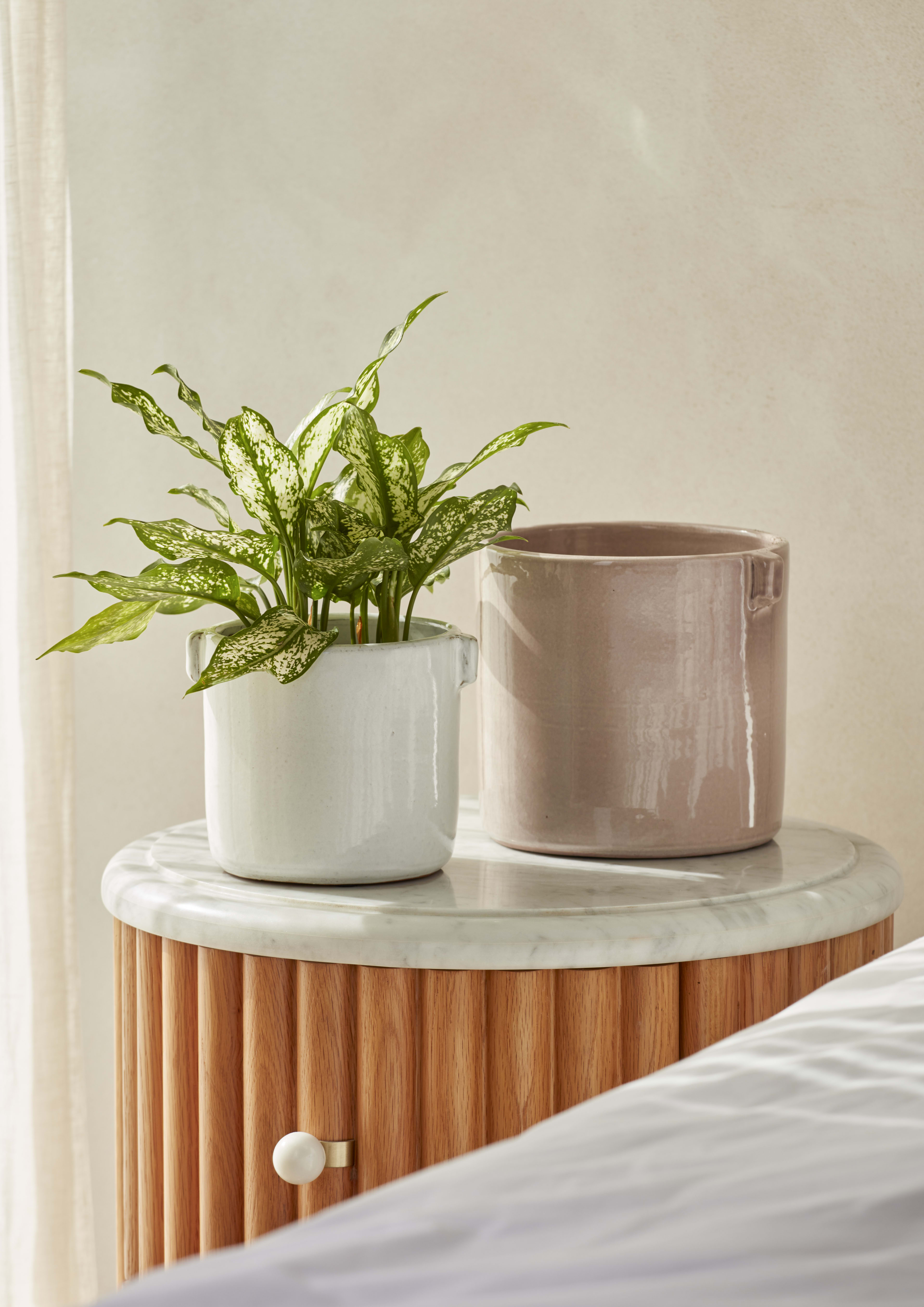 Telma Pot Pink 13cm lifestyle