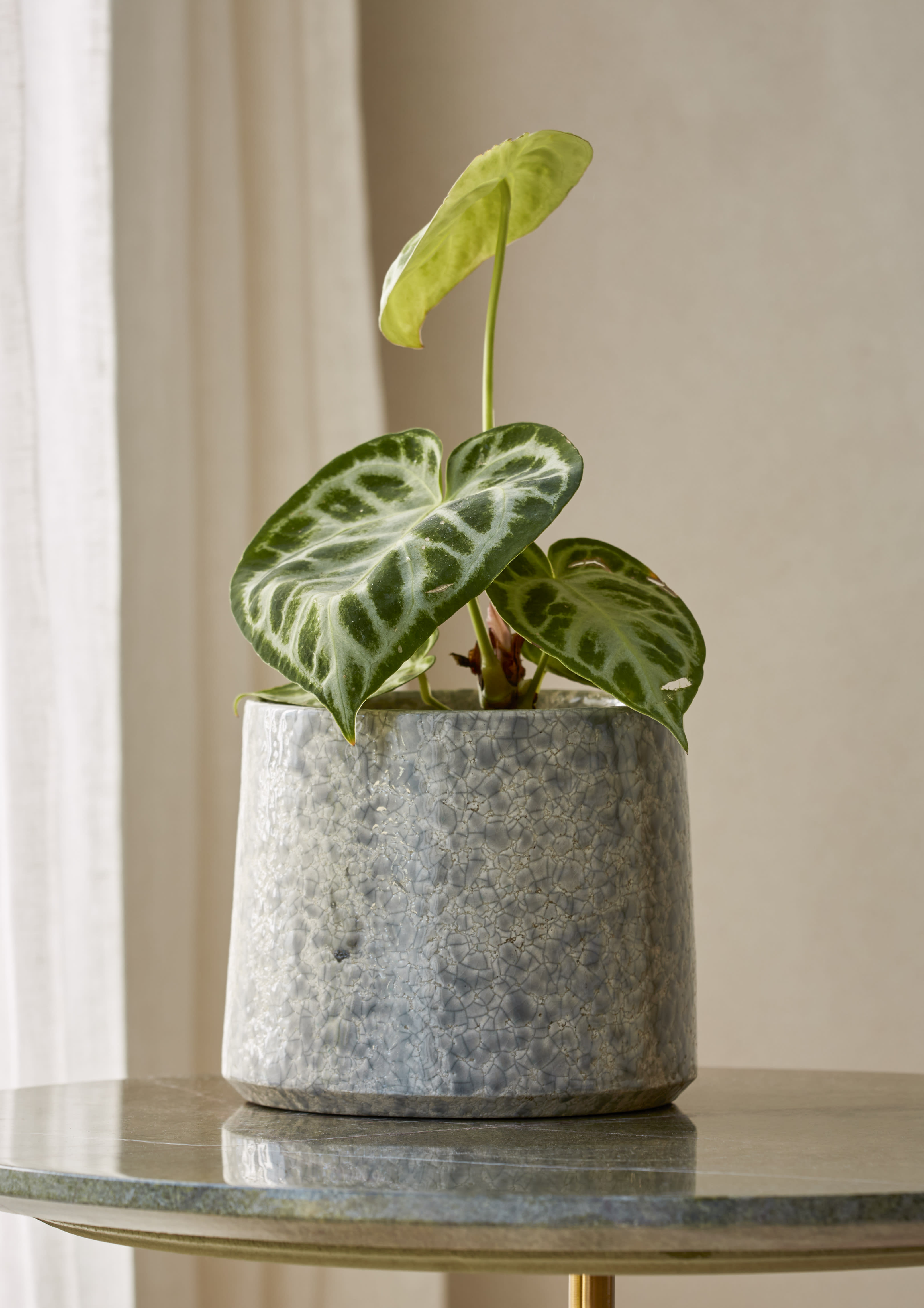 Thea Pot Grey 14cm lifestyle