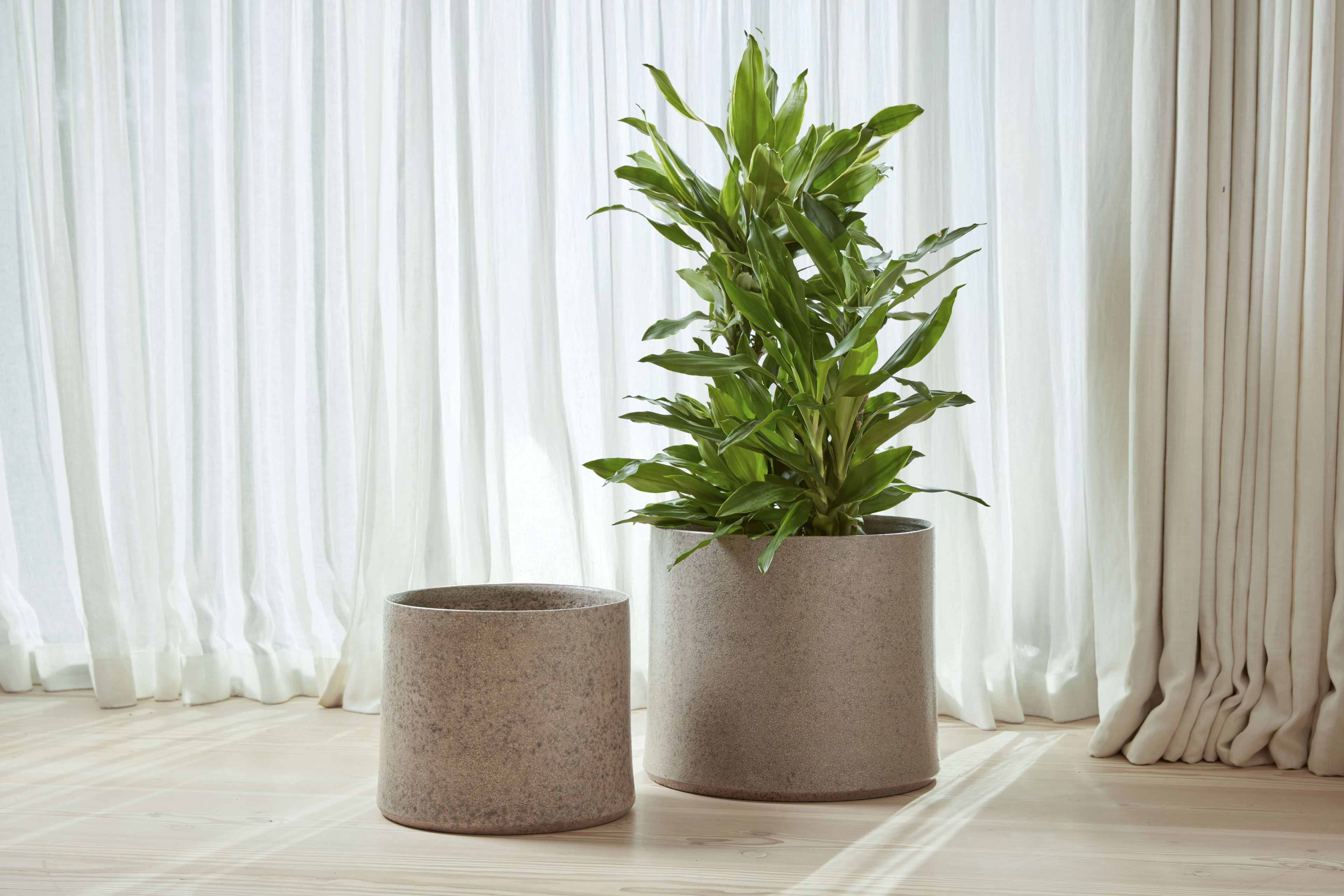 [object Object] image 2