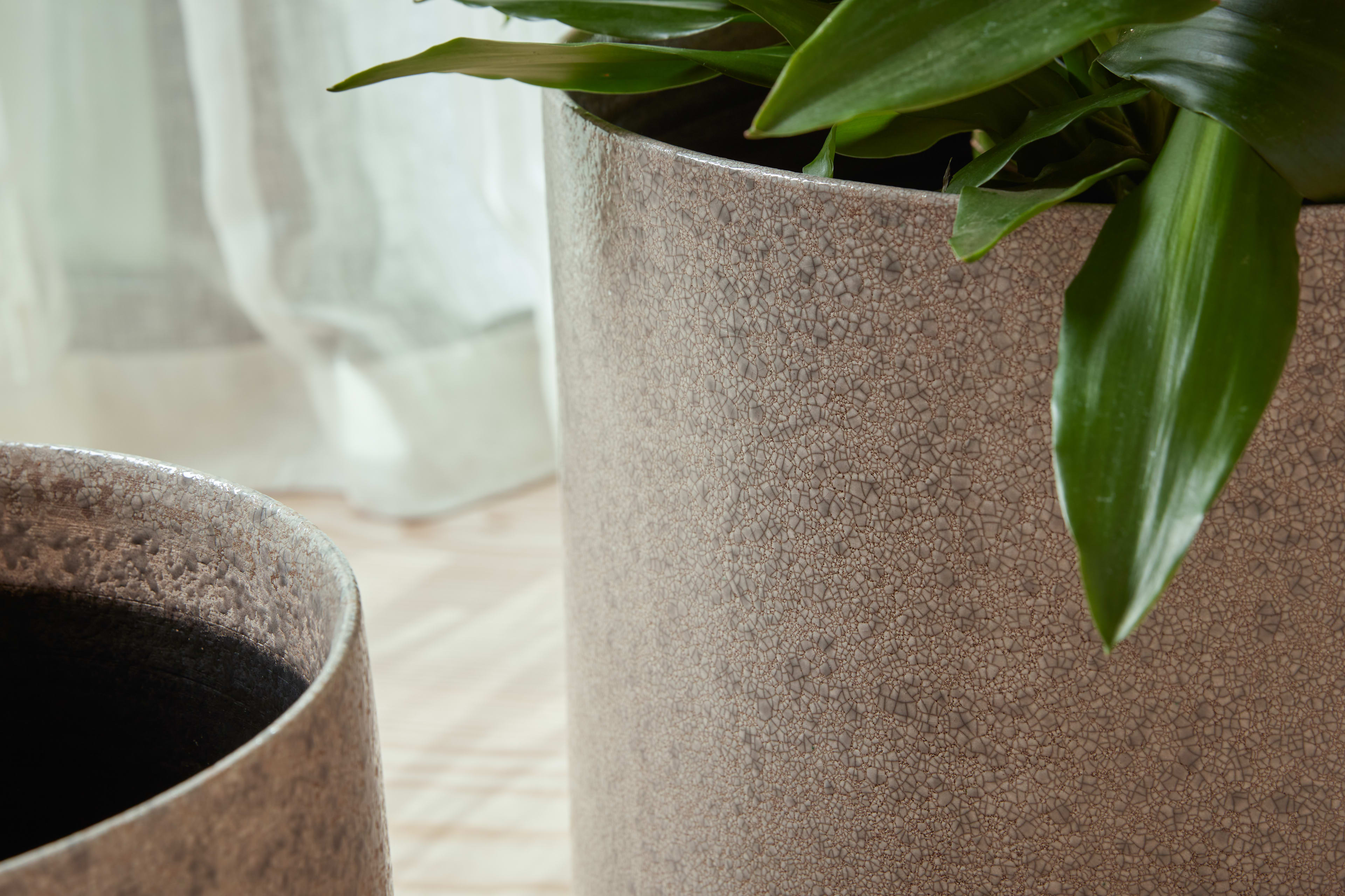 [object Object] image 3