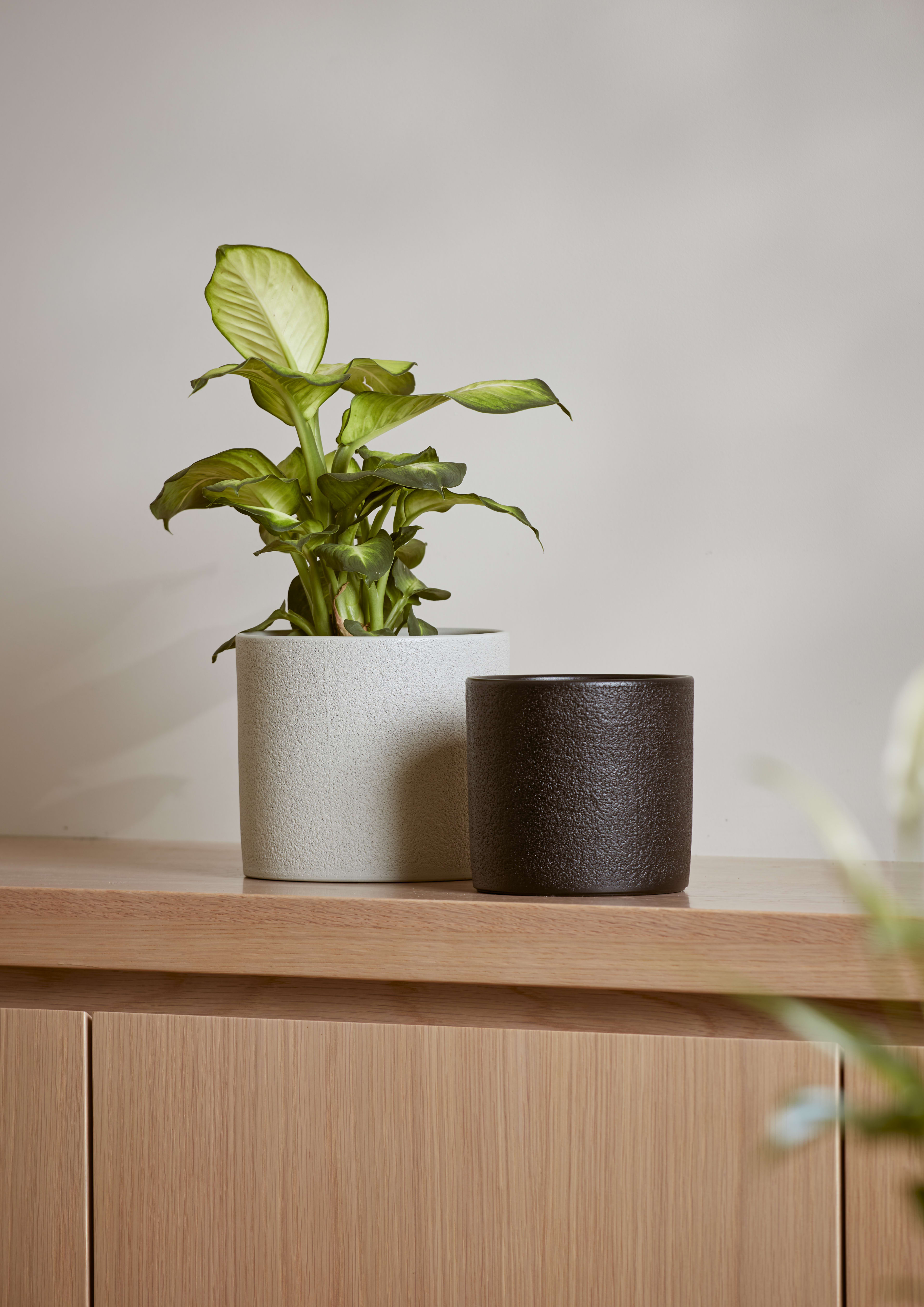 Trento Pot Dark Grey 12cm lifestyle