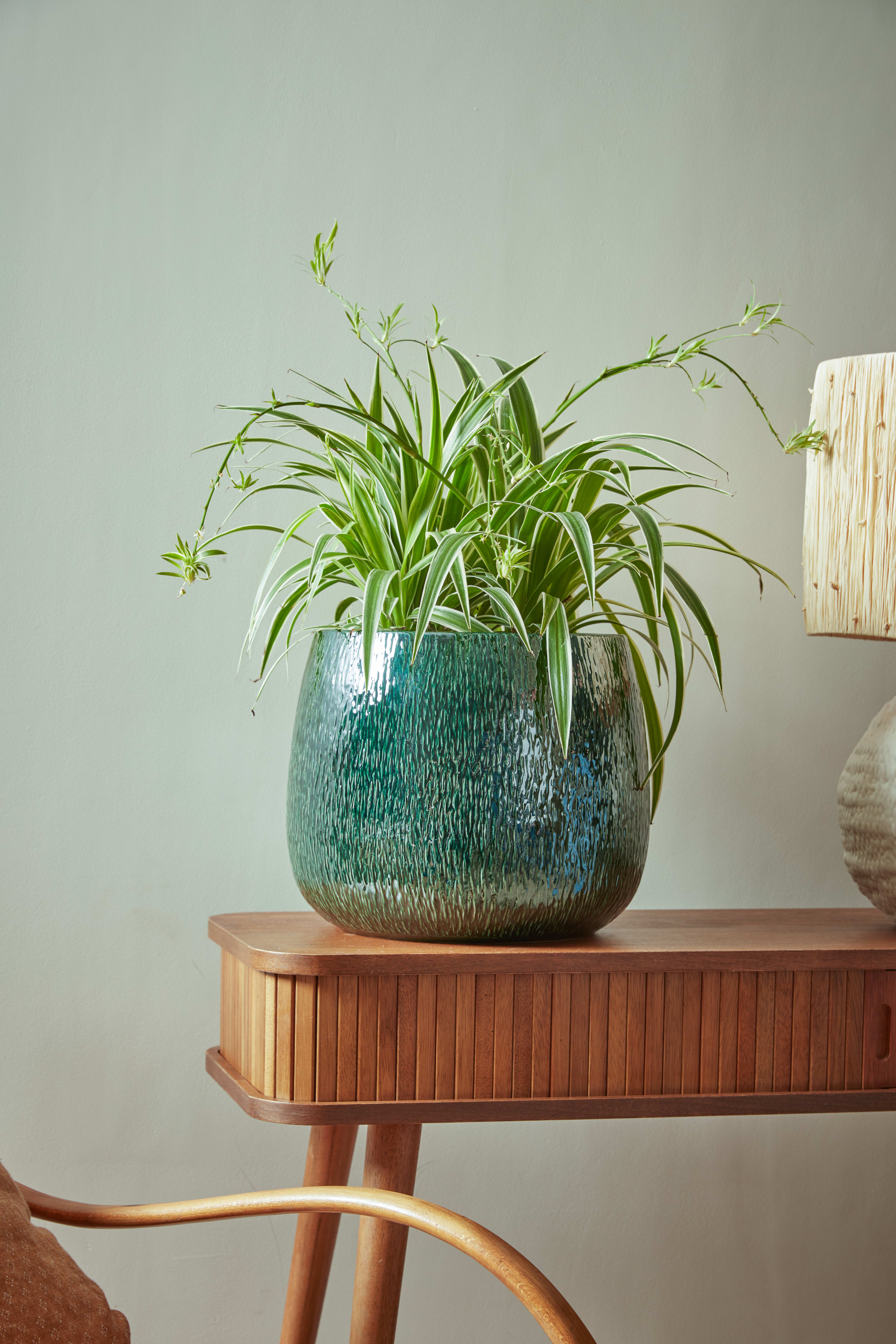 Zara Pot Green 14cm lifestyle