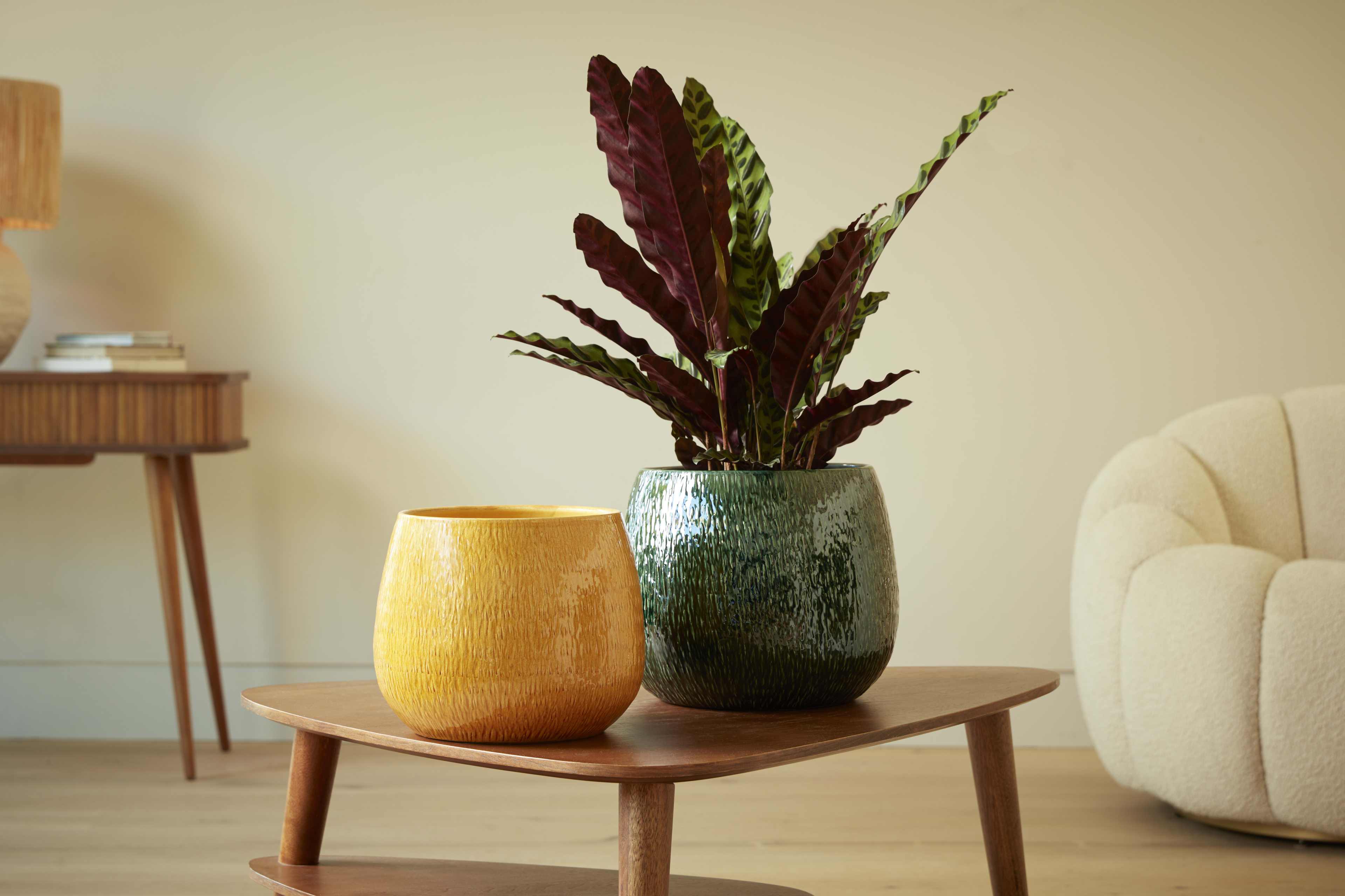 [object Object] image 4