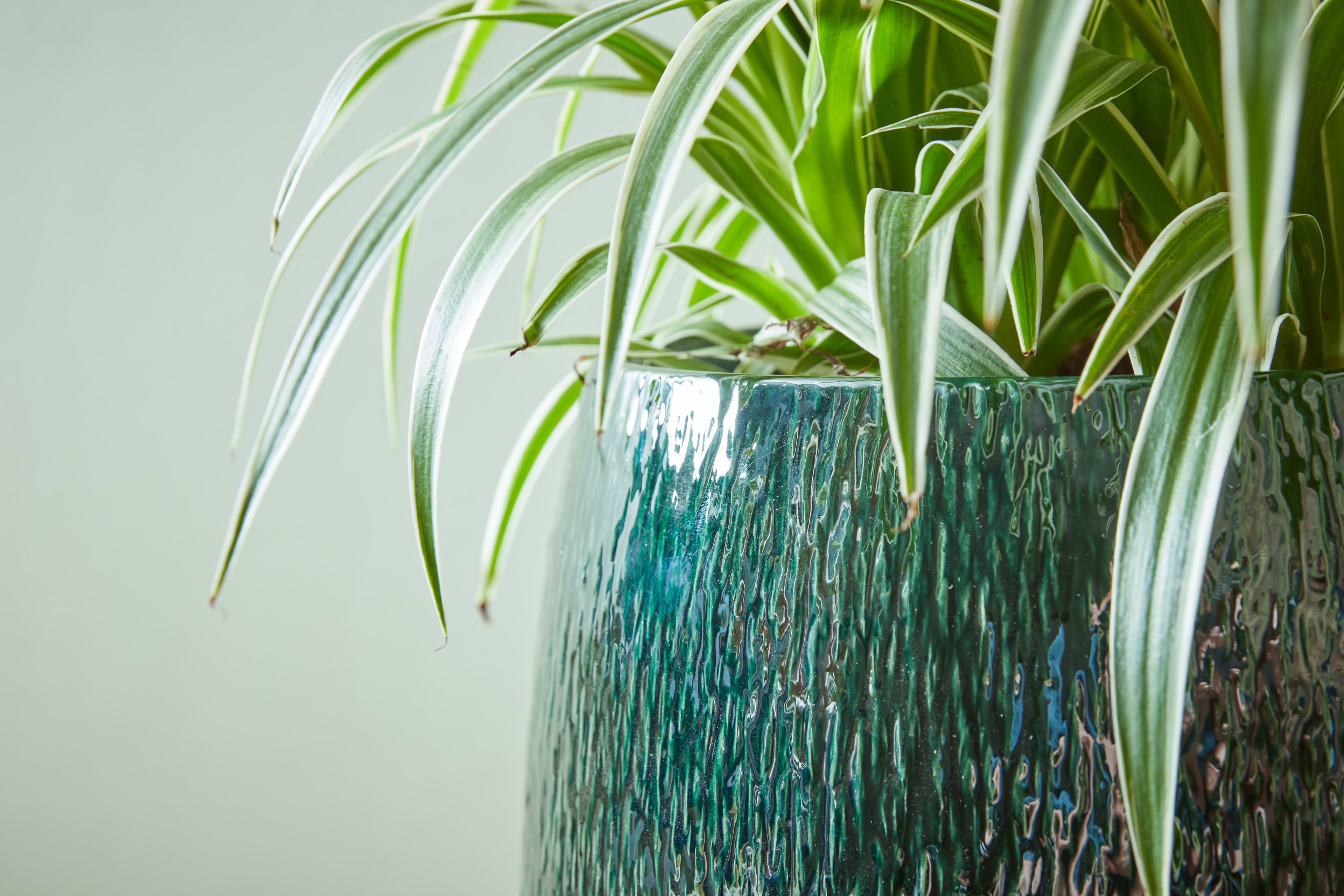 [object Object] image 3