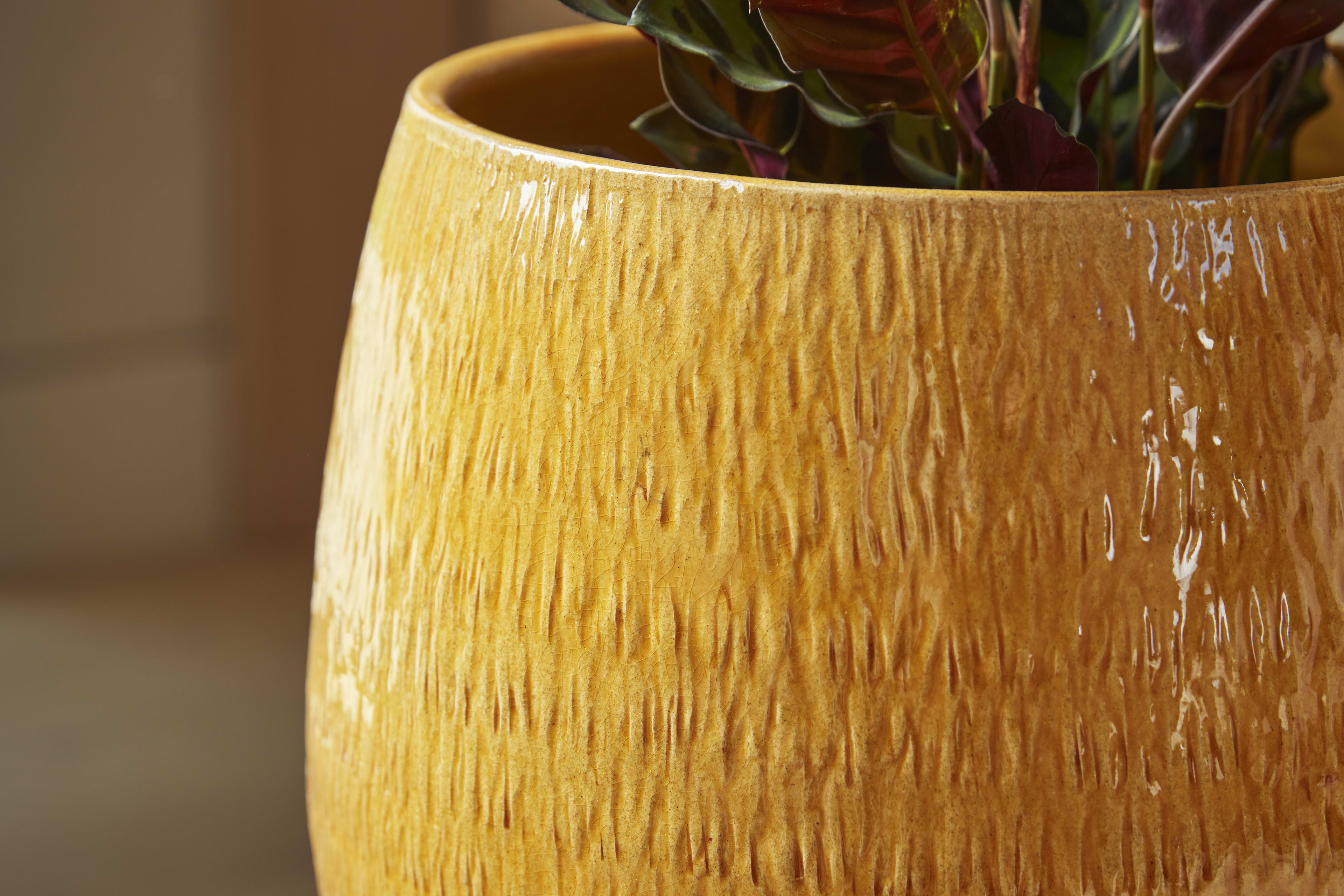 [object Object] image 3