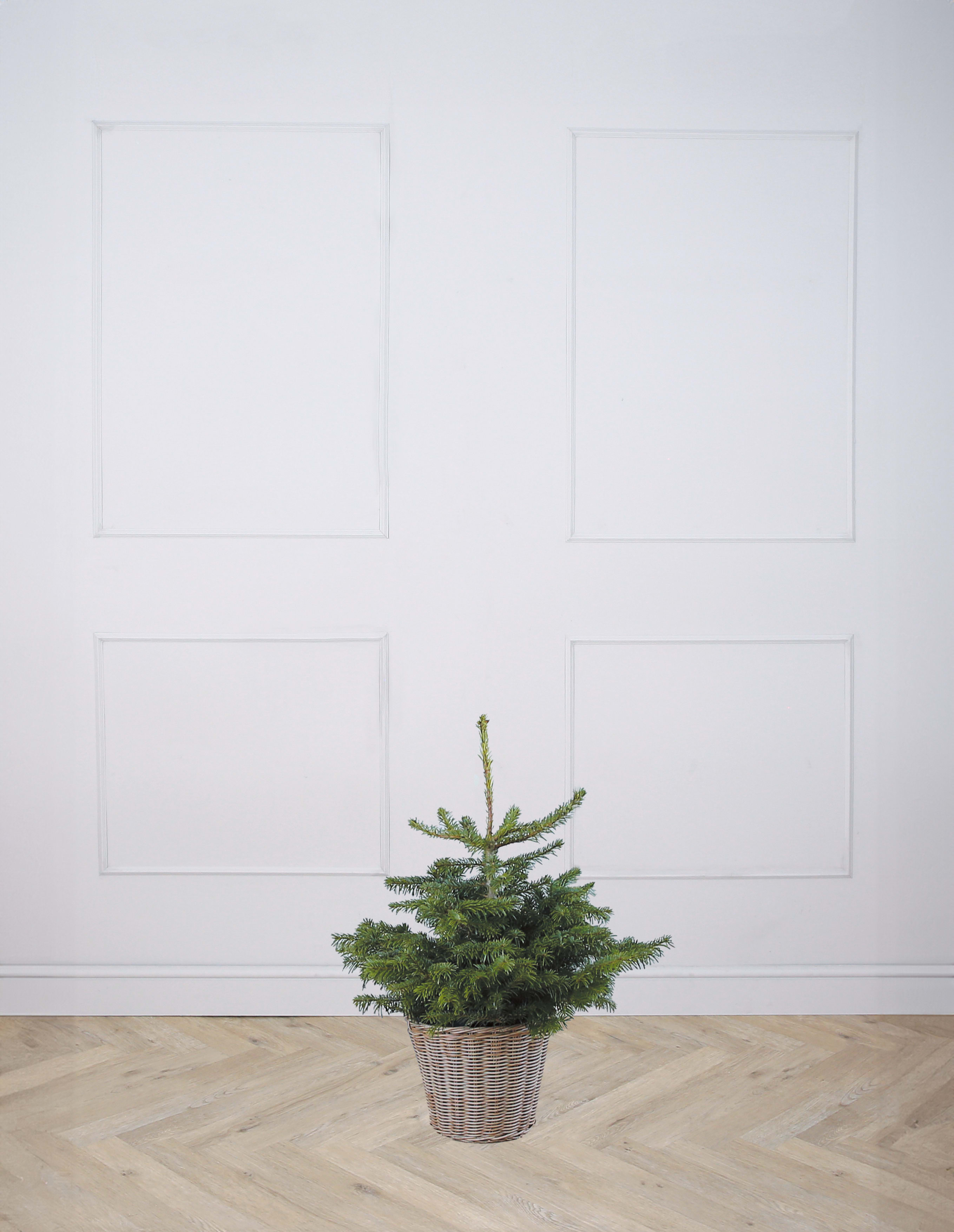 [object Object] image 1