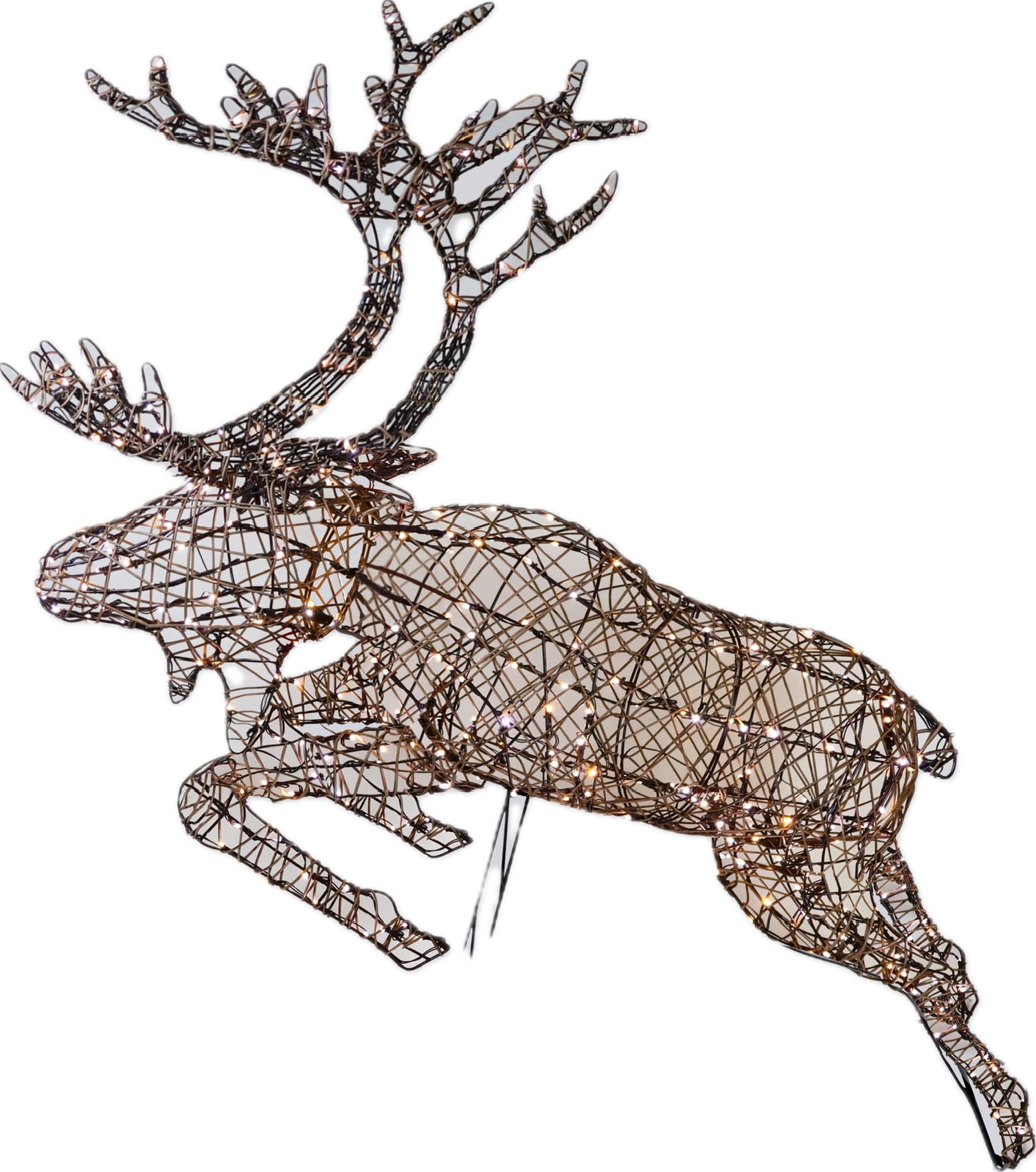 [object Object] image 1