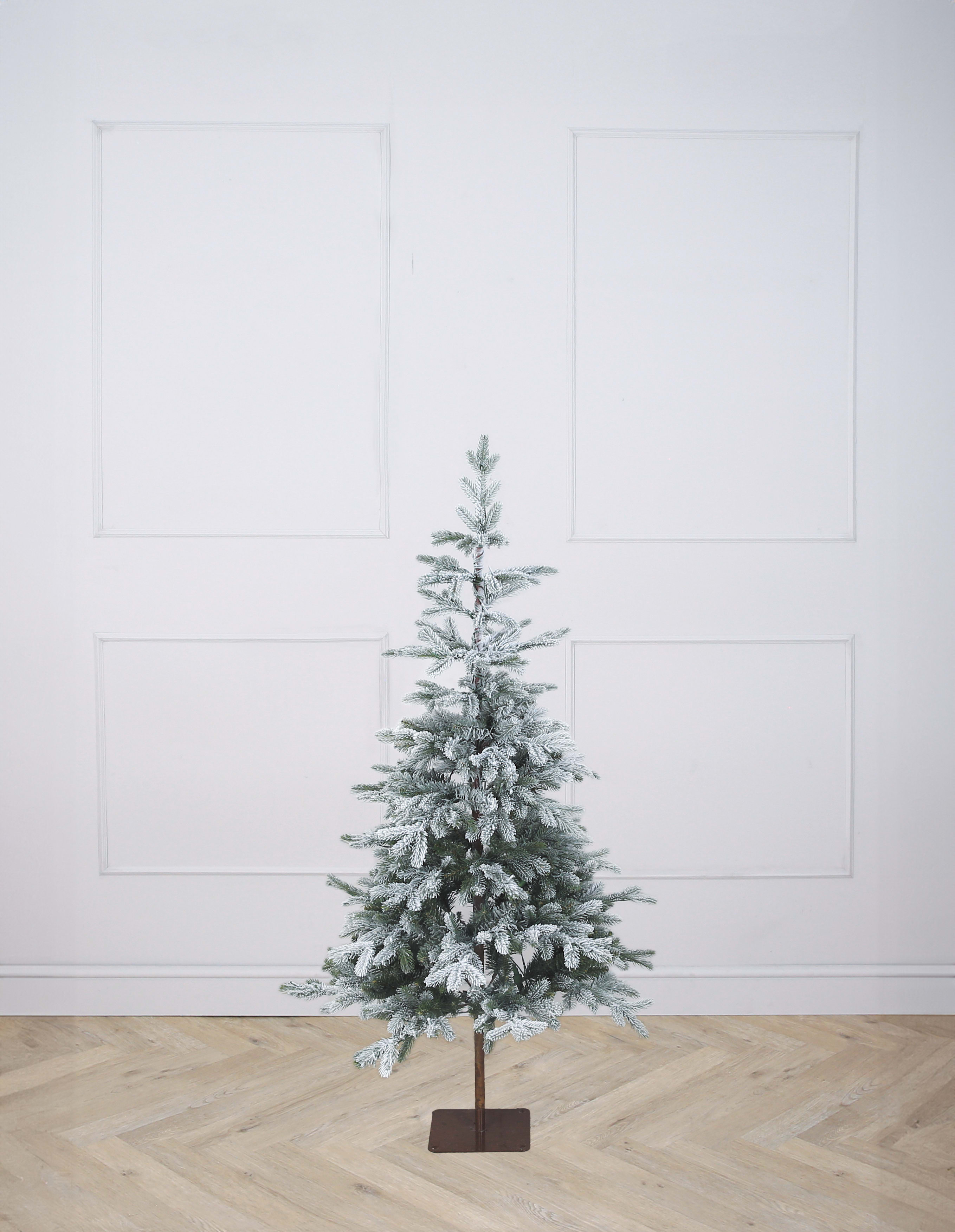 [object Object] image 2