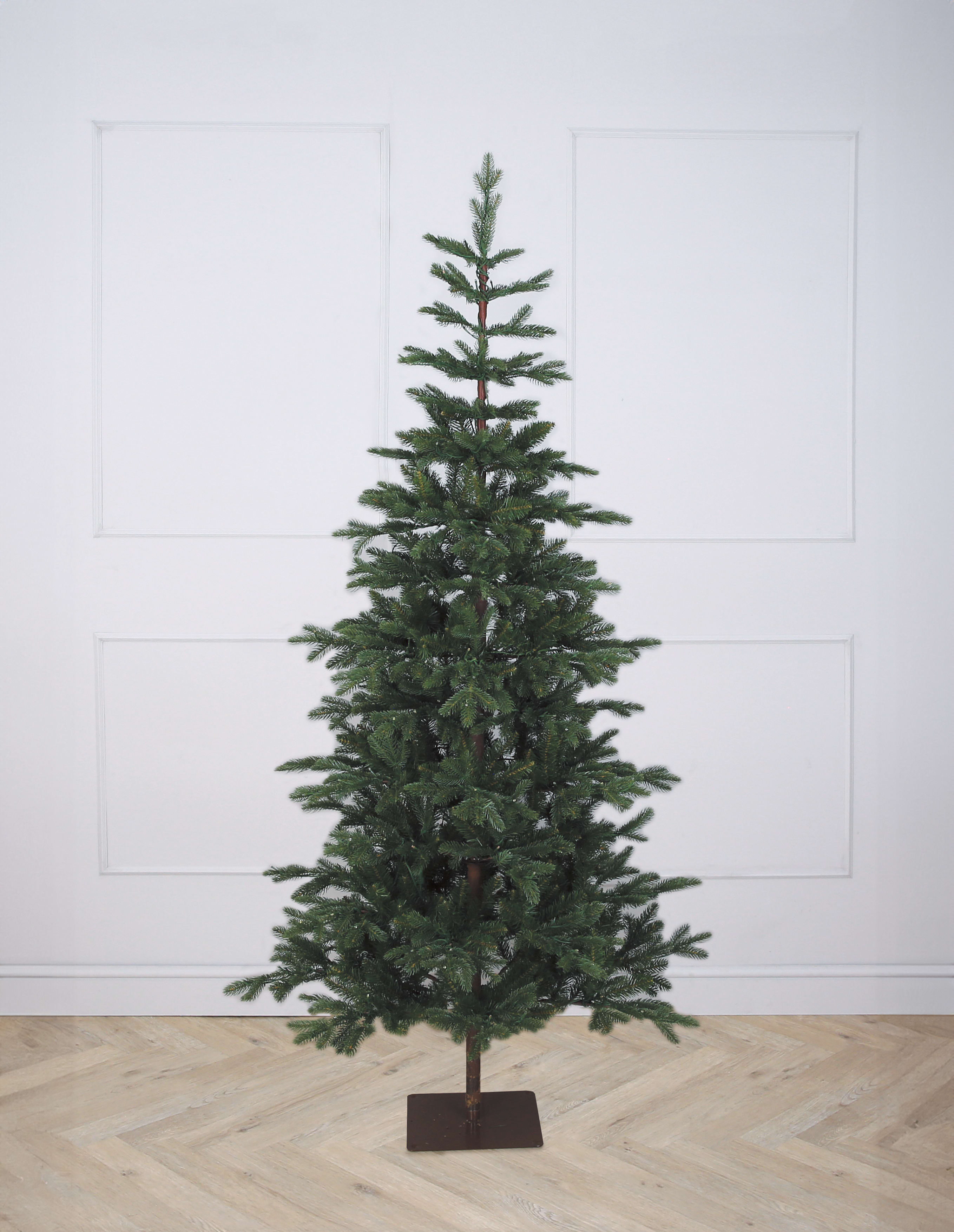 [object Object] image 2