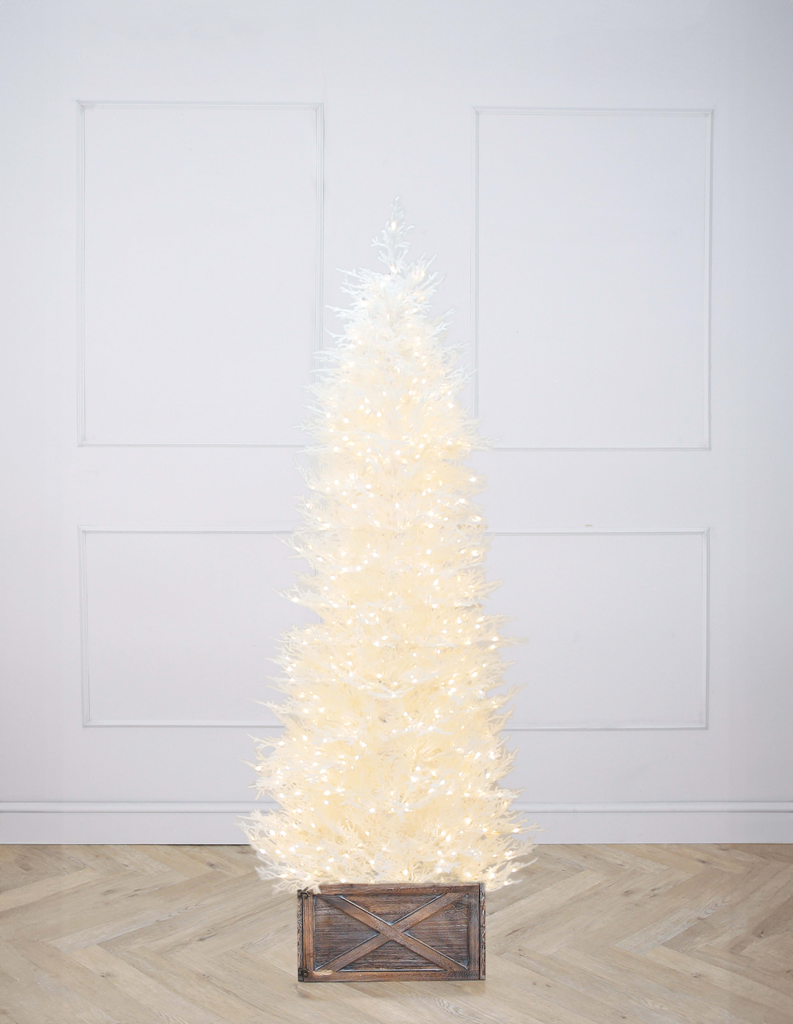 [object Object] image 2