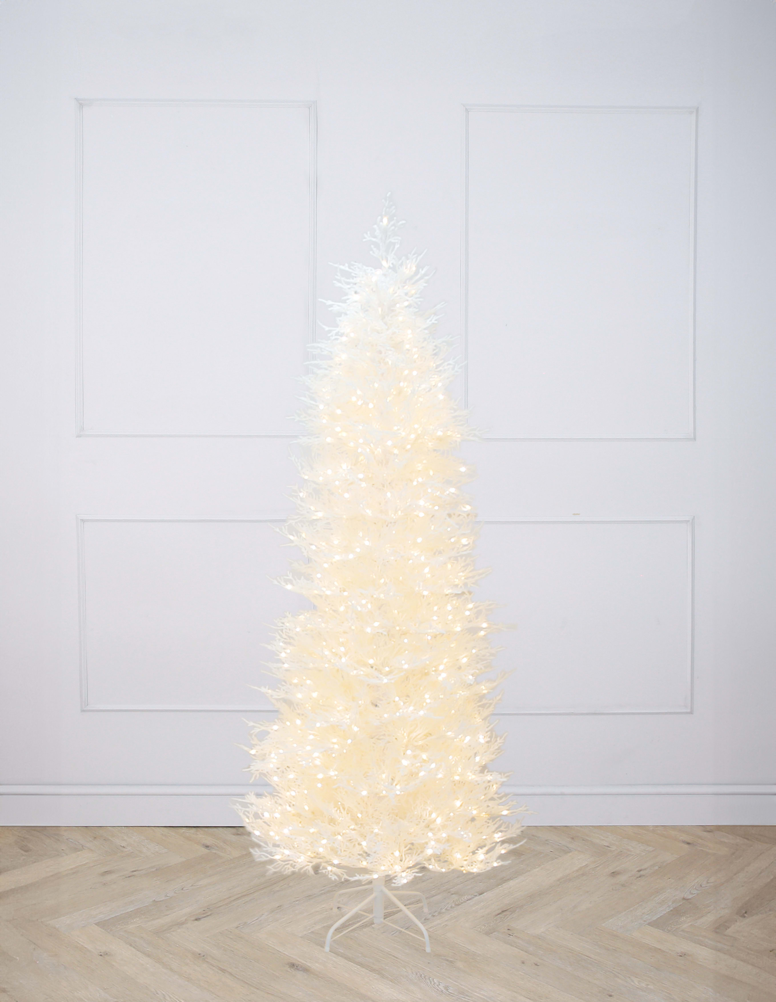 [object Object] image 5