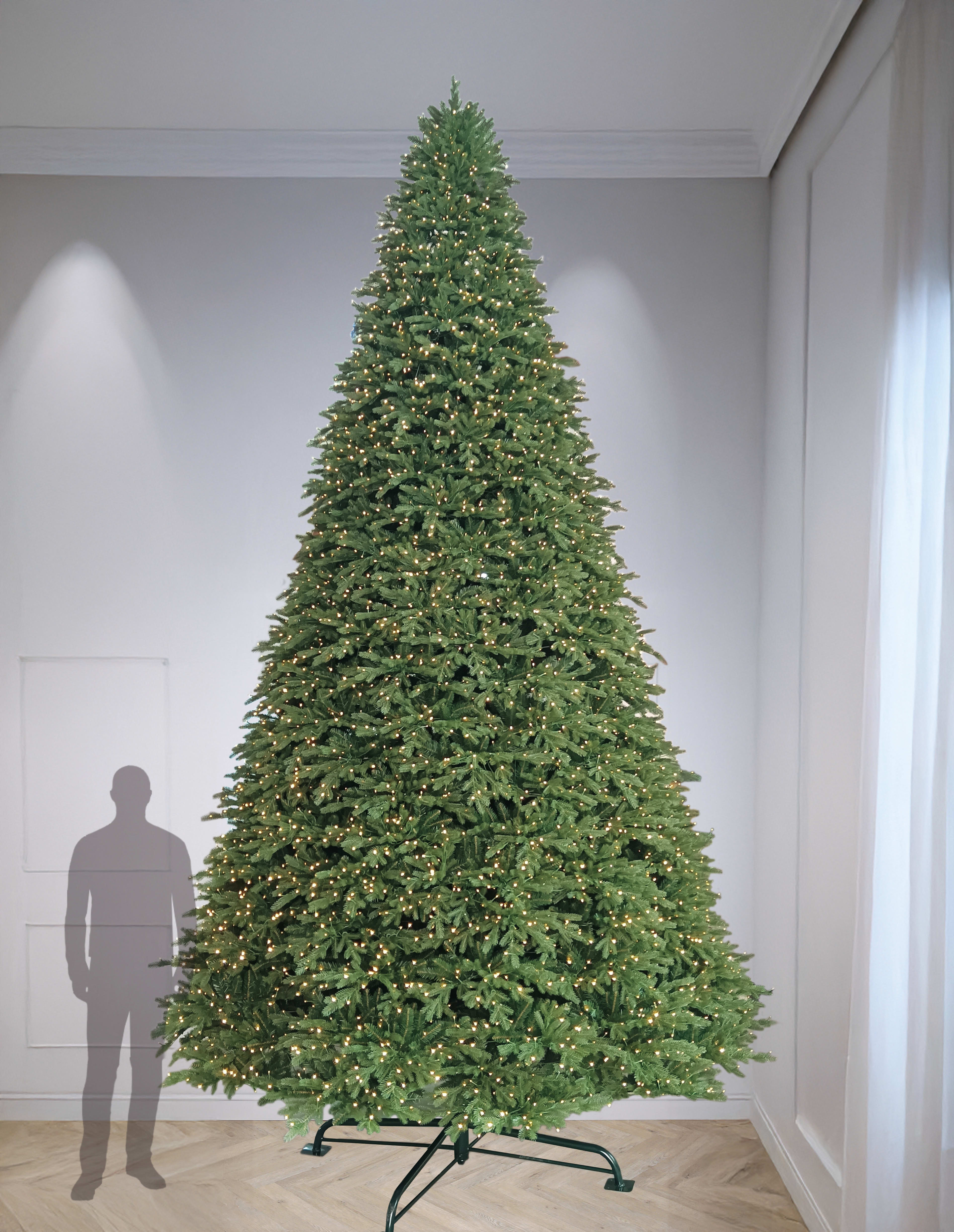 [object Object] image 1