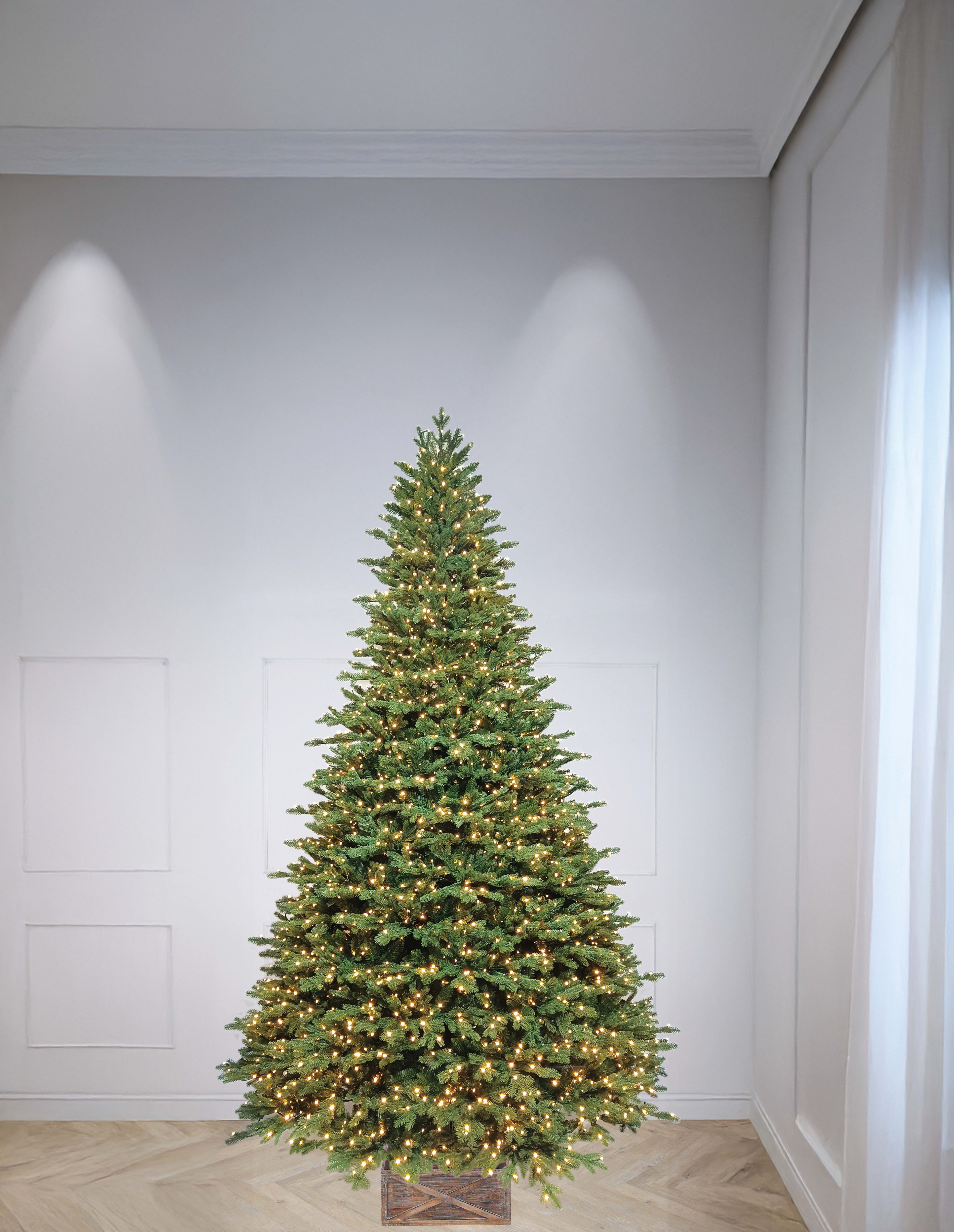 [object Object] image 2