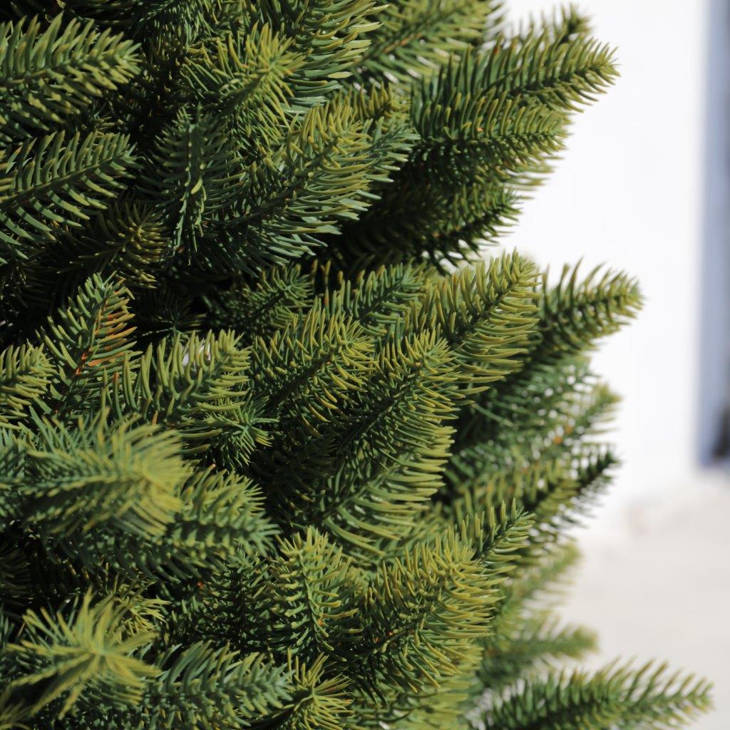 [object Object] image 2