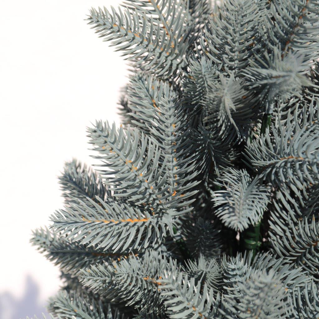 [object Object] image 3