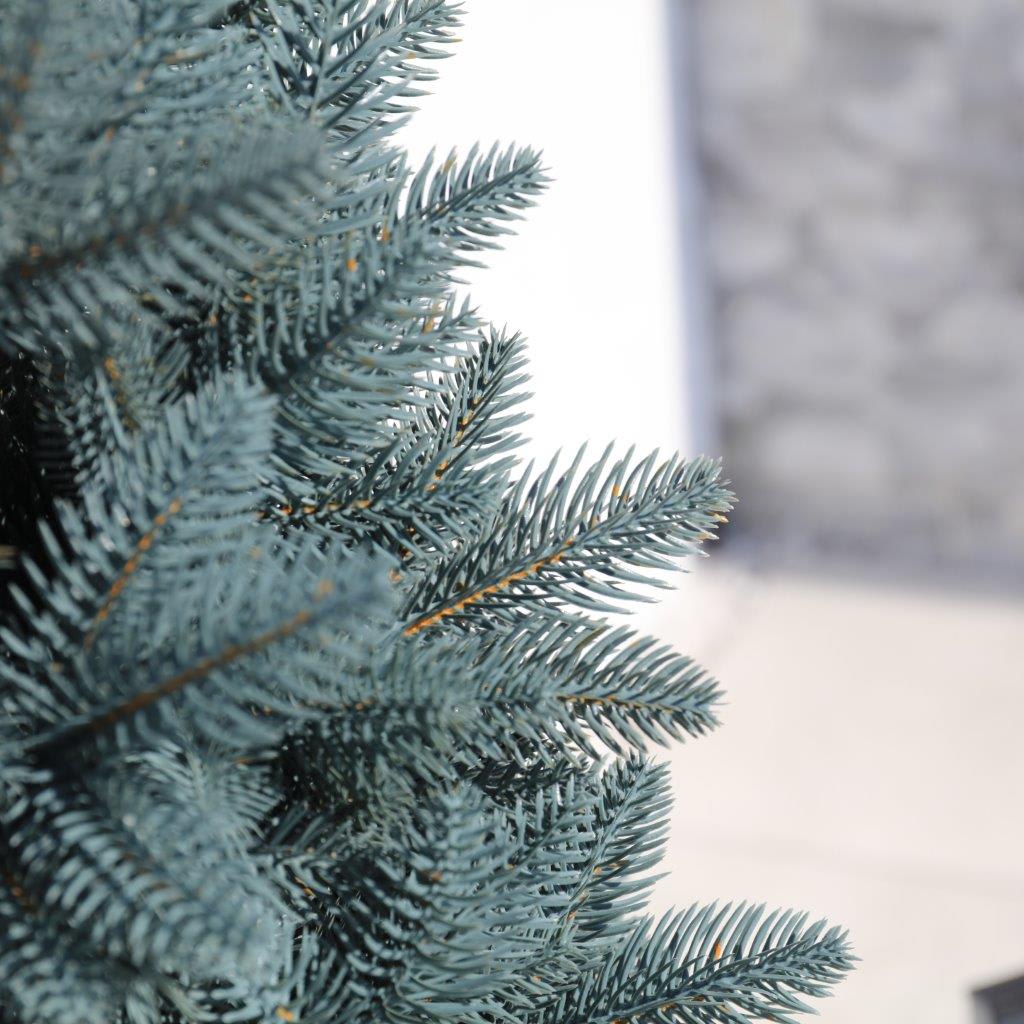 [object Object] image 5