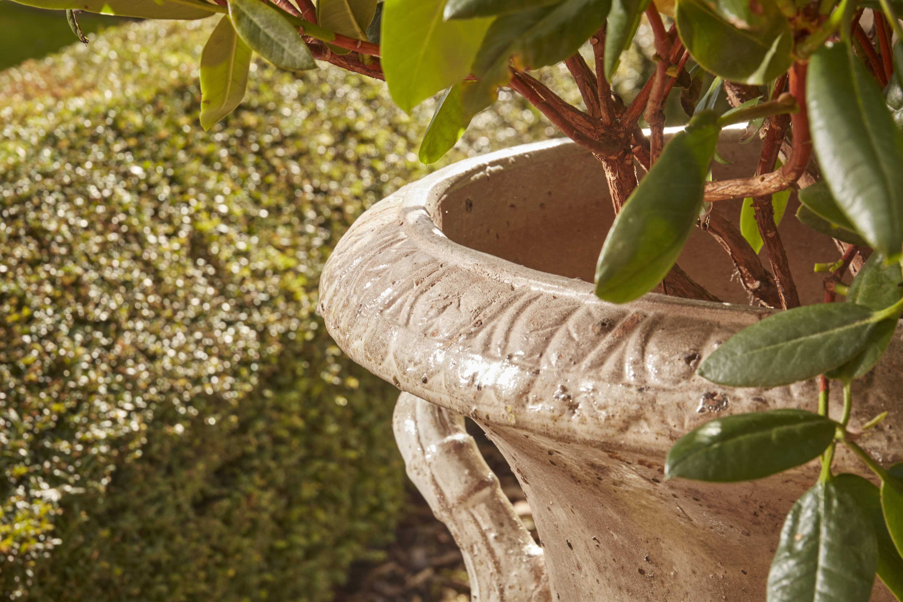 [object Object] image 2