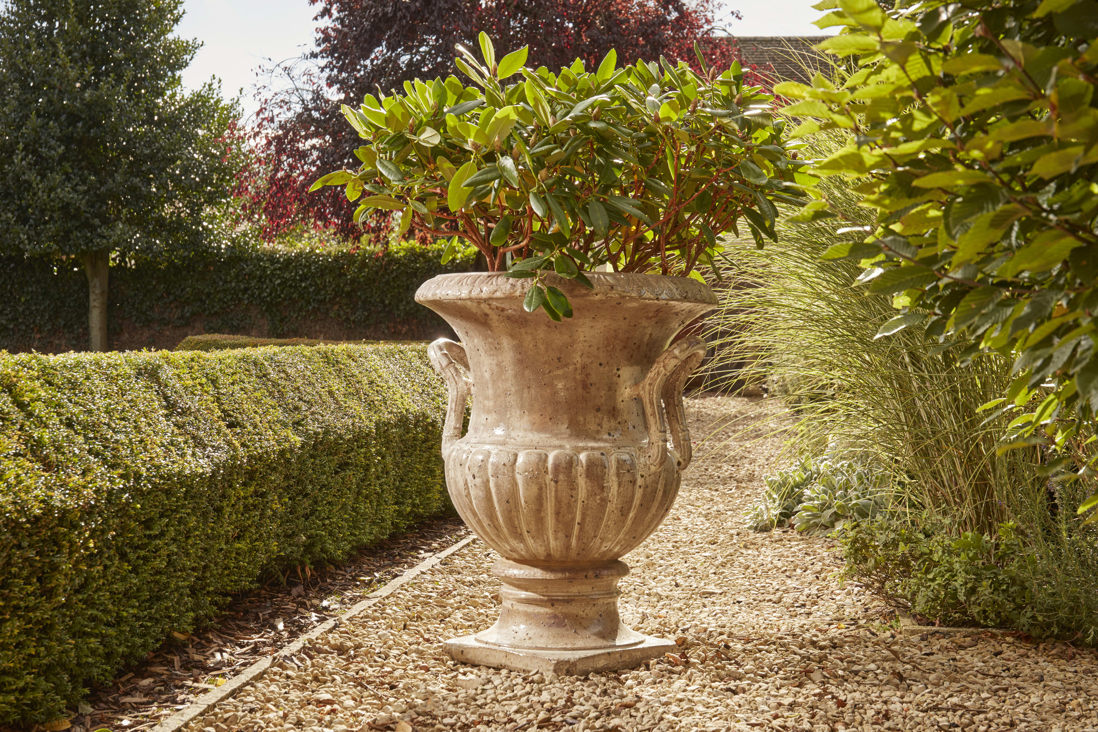 [object Object] image 1