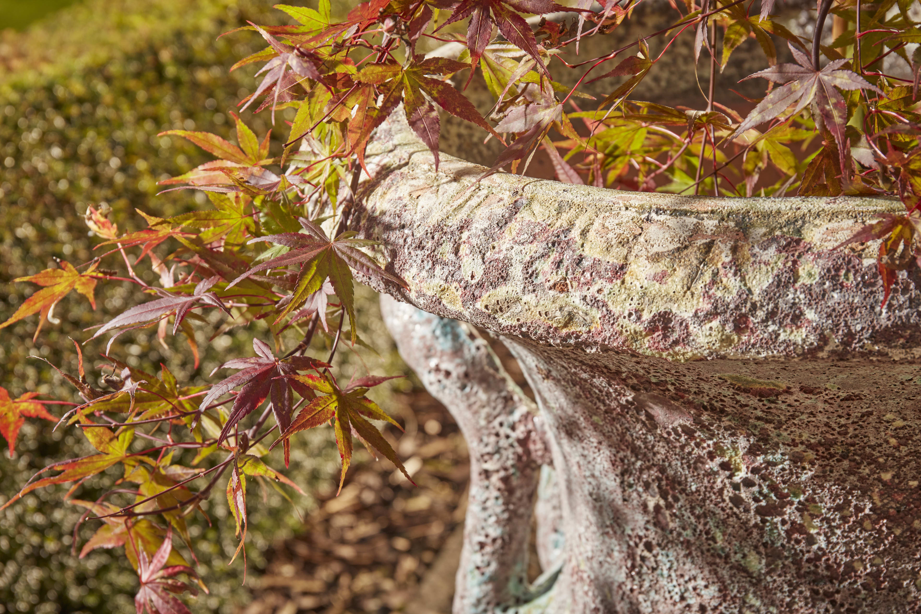 [object Object] image 2